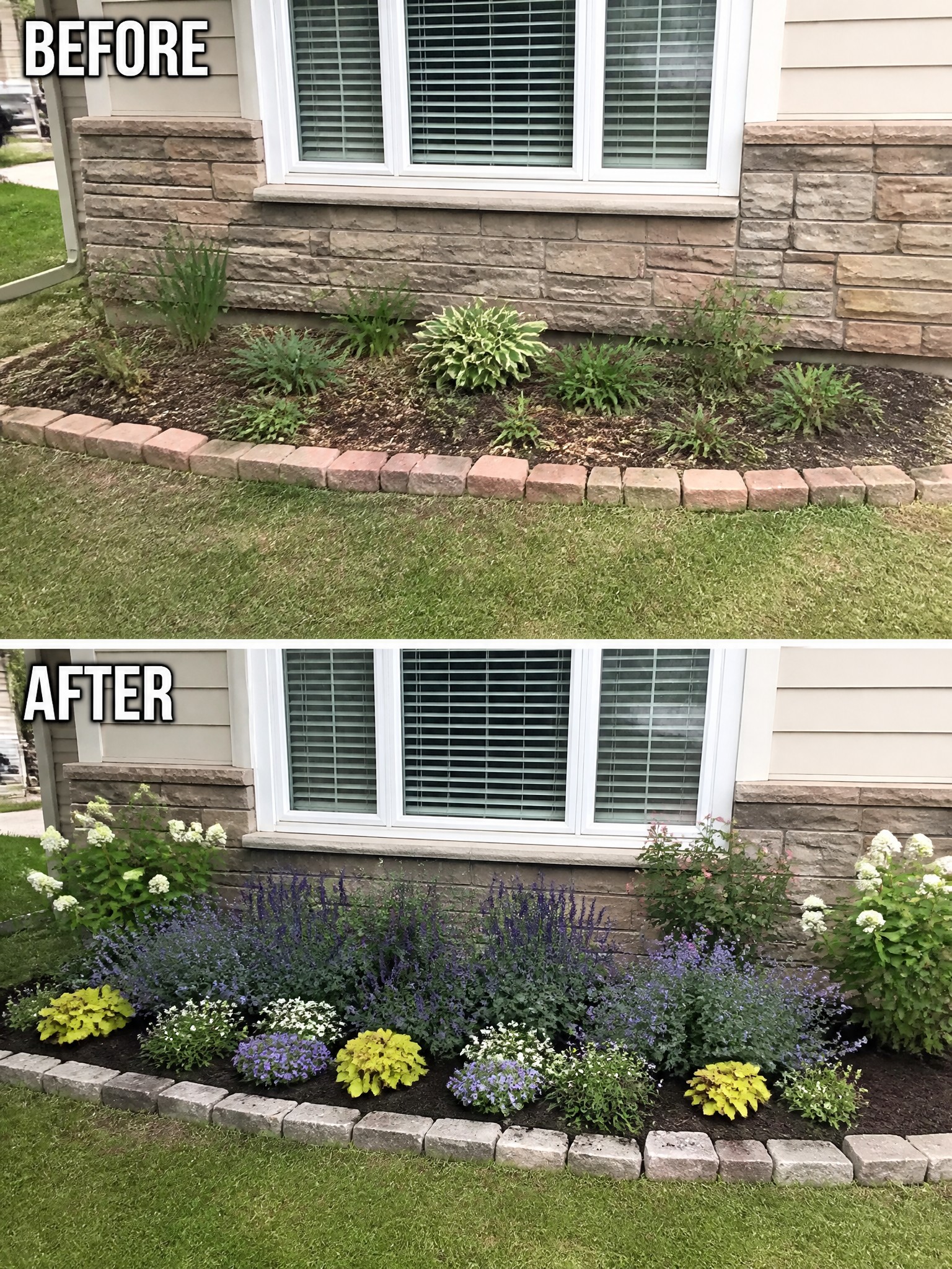 Before-and-after garden bed with purple, white, and yellow flowers under window.