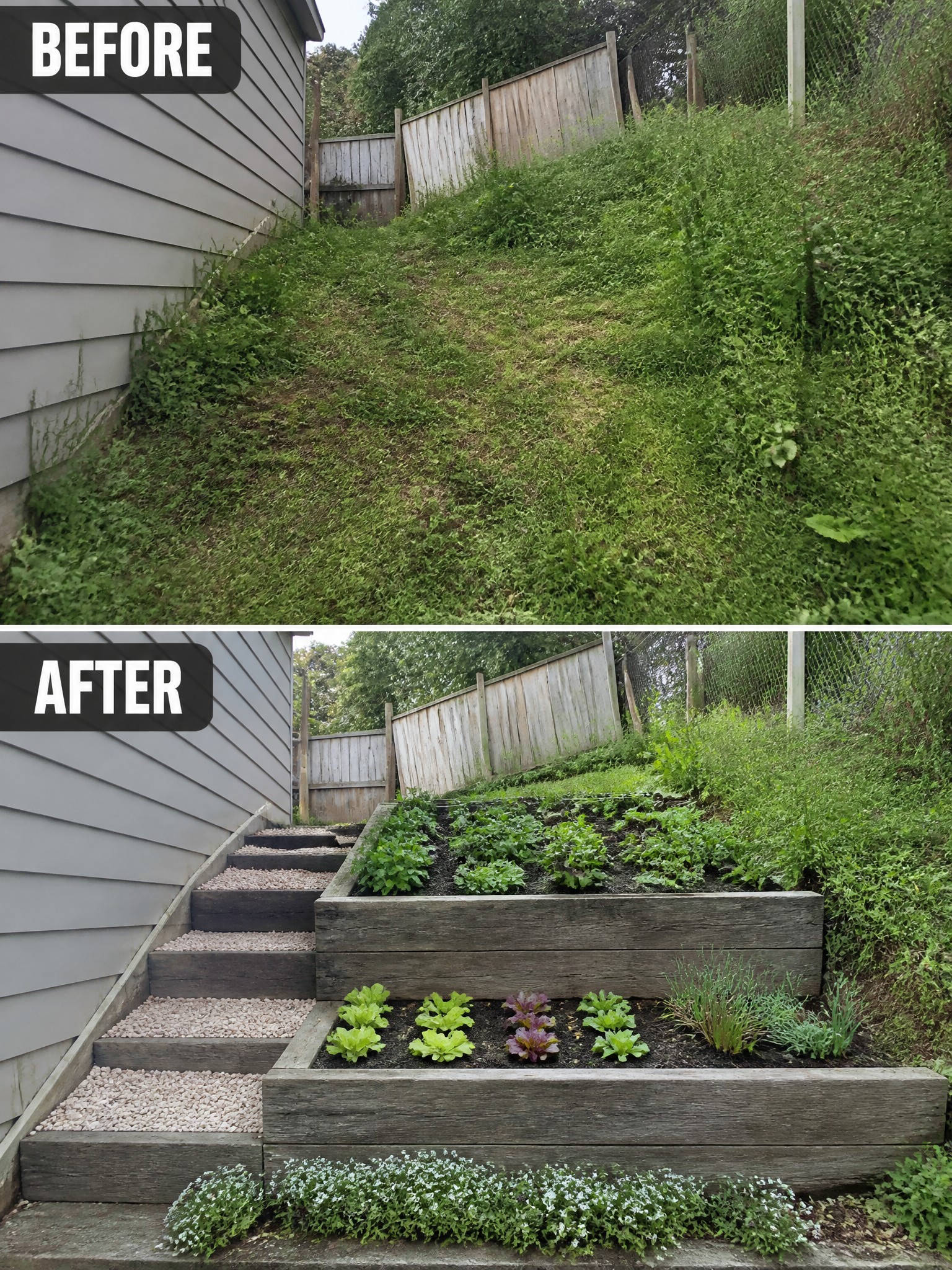 Before-and-after image of an overgrown backyard slope changed into tiered raised garden beds with steps and gravel paths.