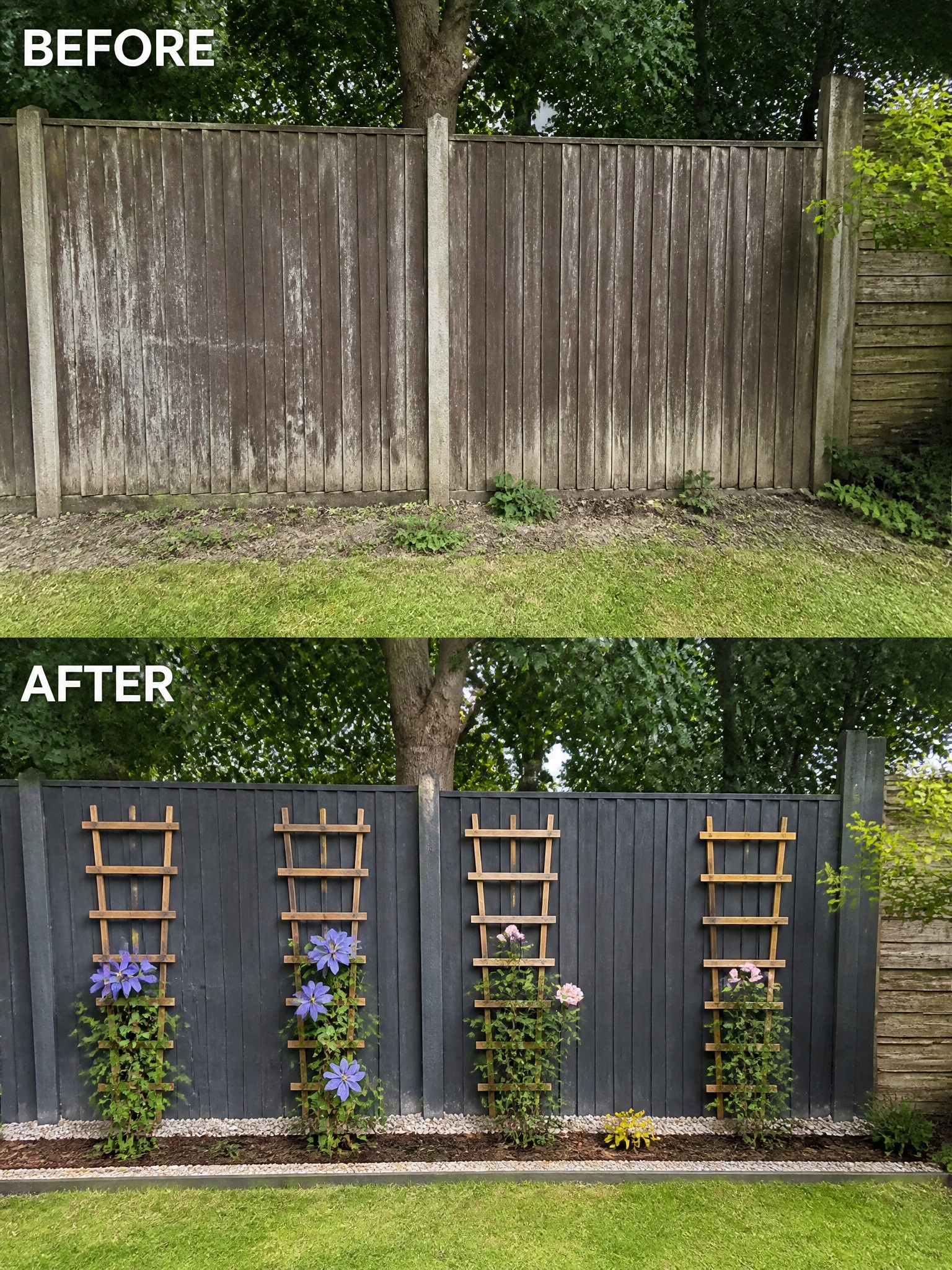 Before and after of weathered fence repainted black with trellises and flowers.