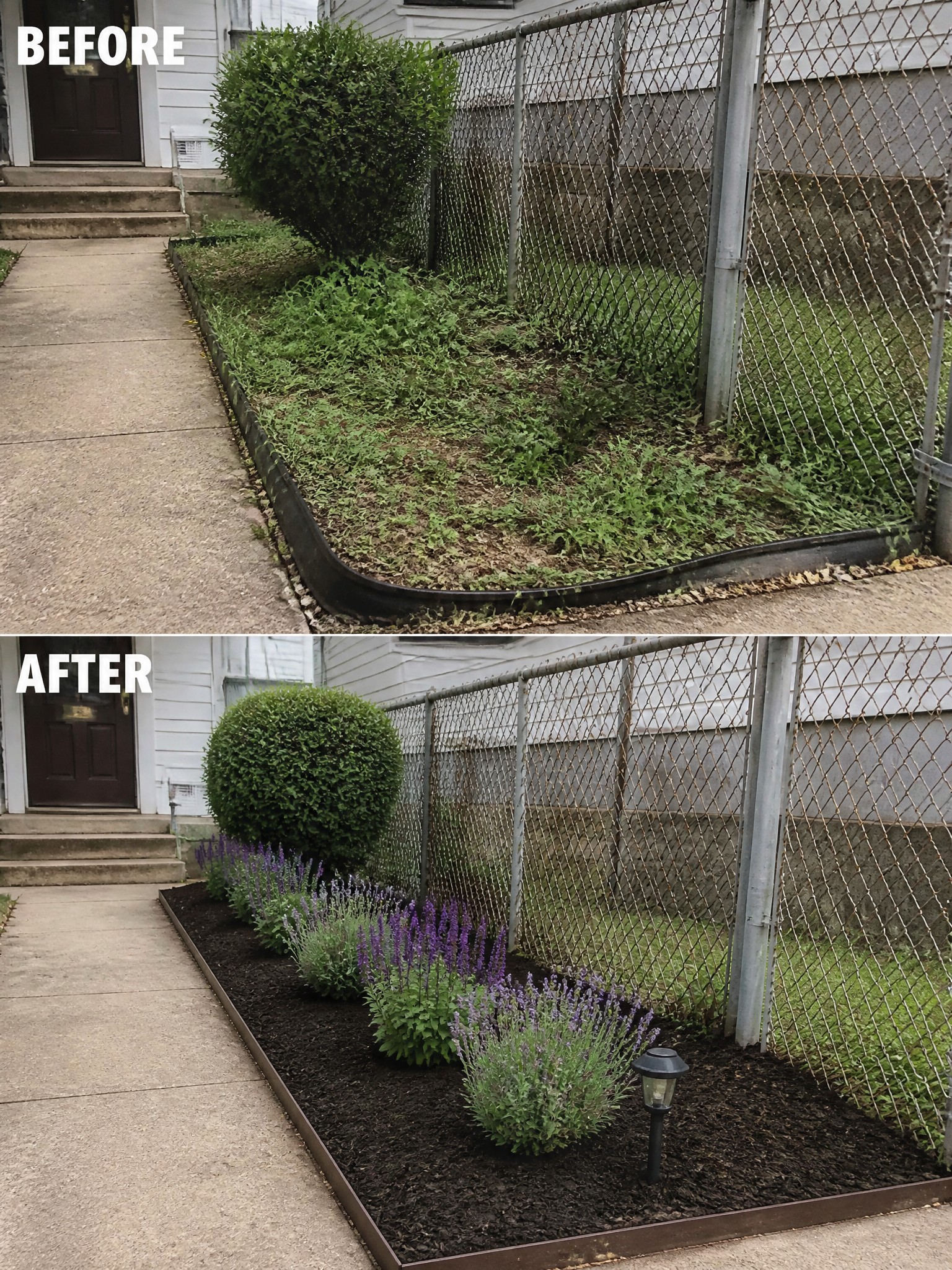 Before-and-after image of an overgrown garden border changed into a neat mulched bed with edging and structured planting.