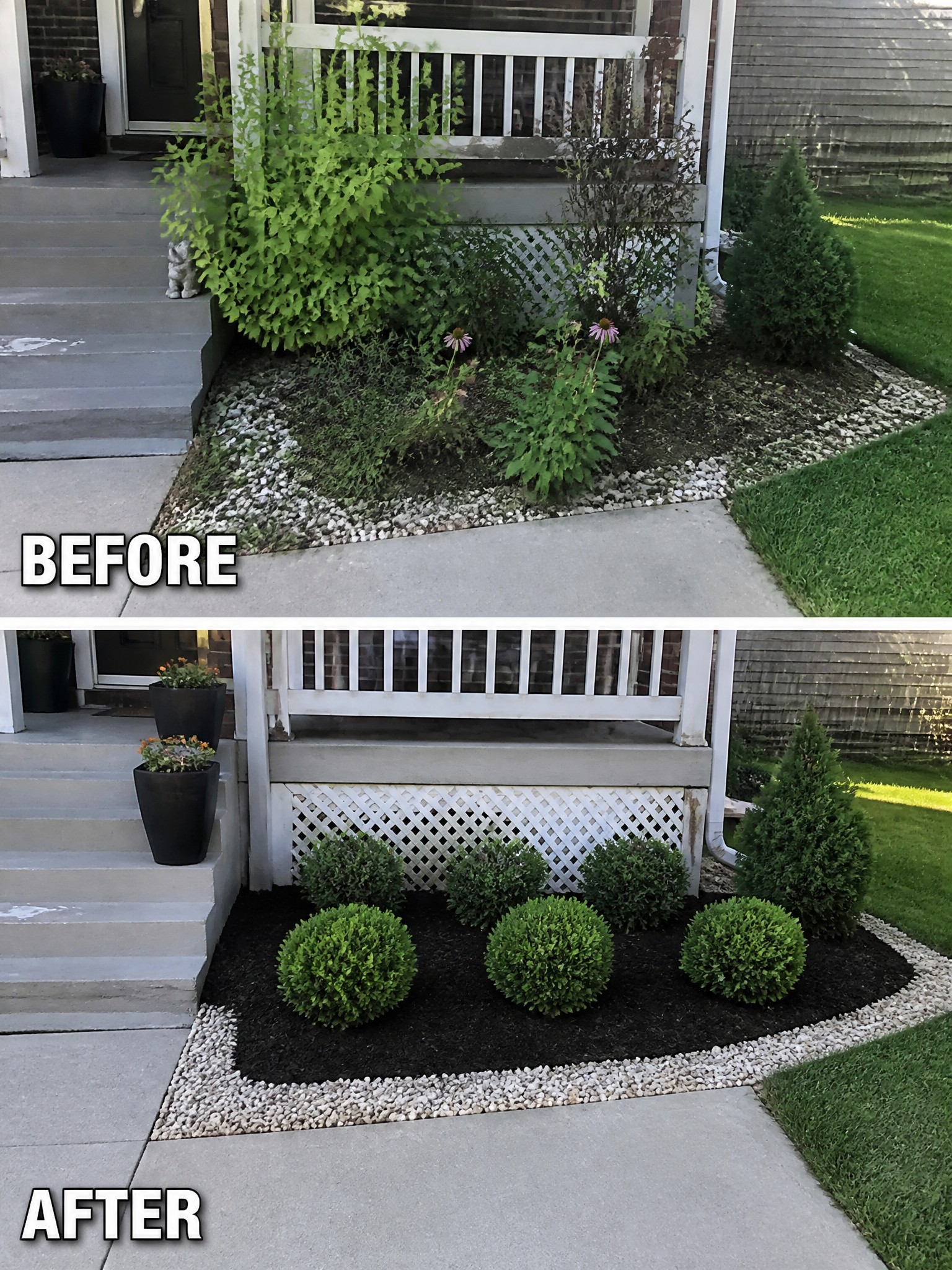 Before-and-after garden bed with overgrown plants replaced by neat shrubs and mulch.