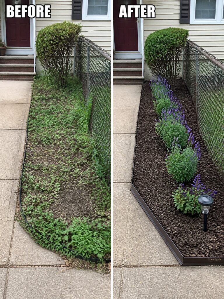 Before-and-after image of an overgrown garden border changed into a neat mulched bed with edging and structured planting.