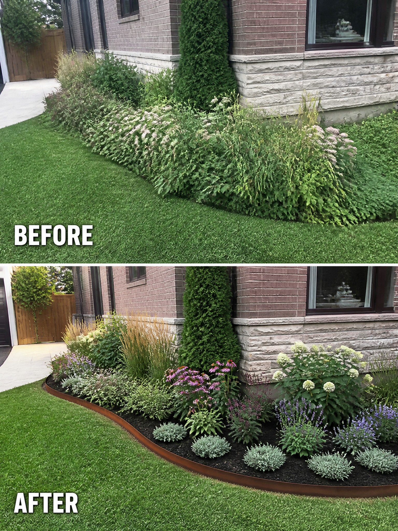 Before-and-after garden bed: overgrown plants transformed into mulched flower border with edging.
