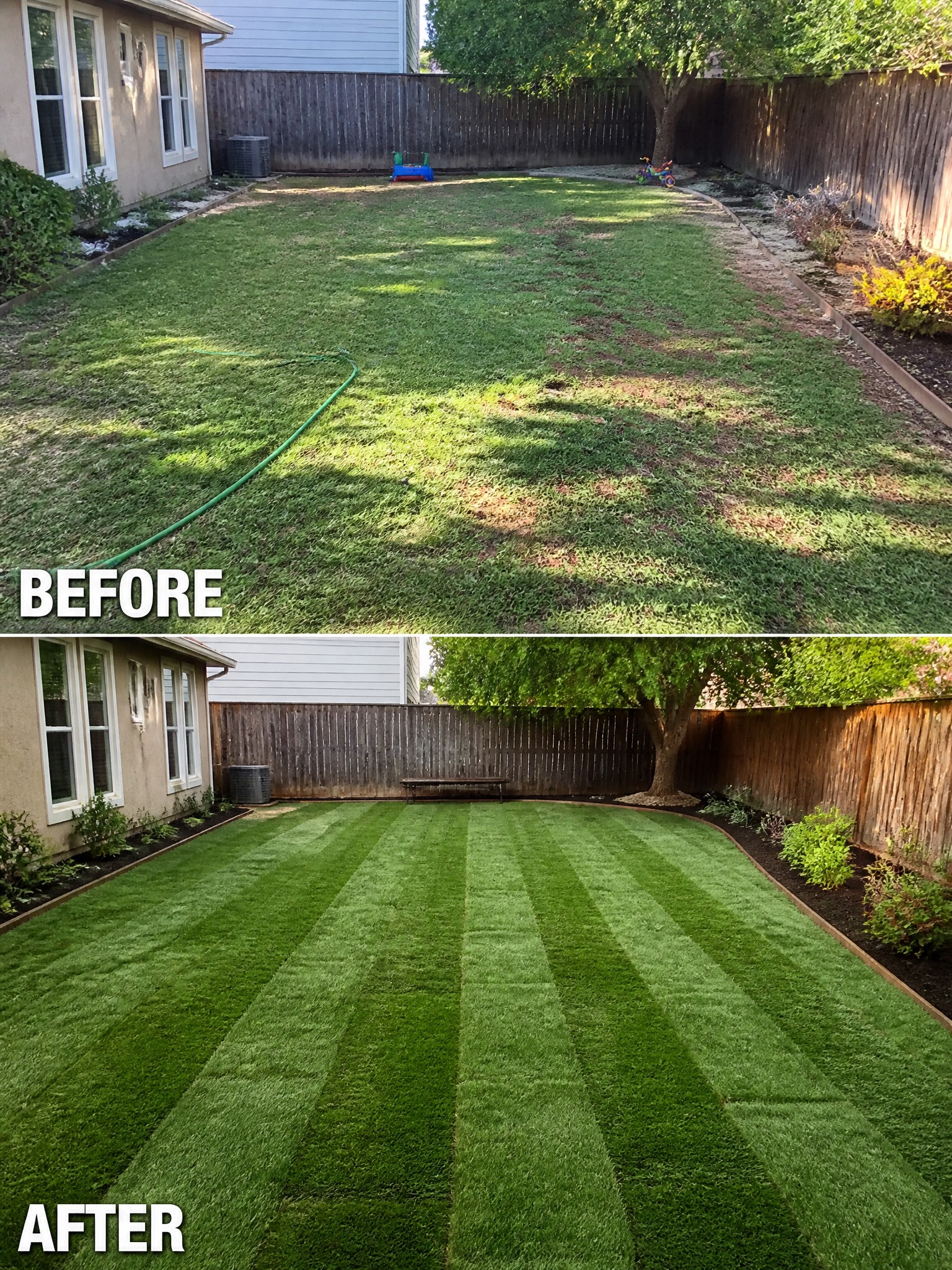 Before-and-after image of an overgrown backyard lawn changed into a neat striped lawn with defined garden borders and mulch beds.