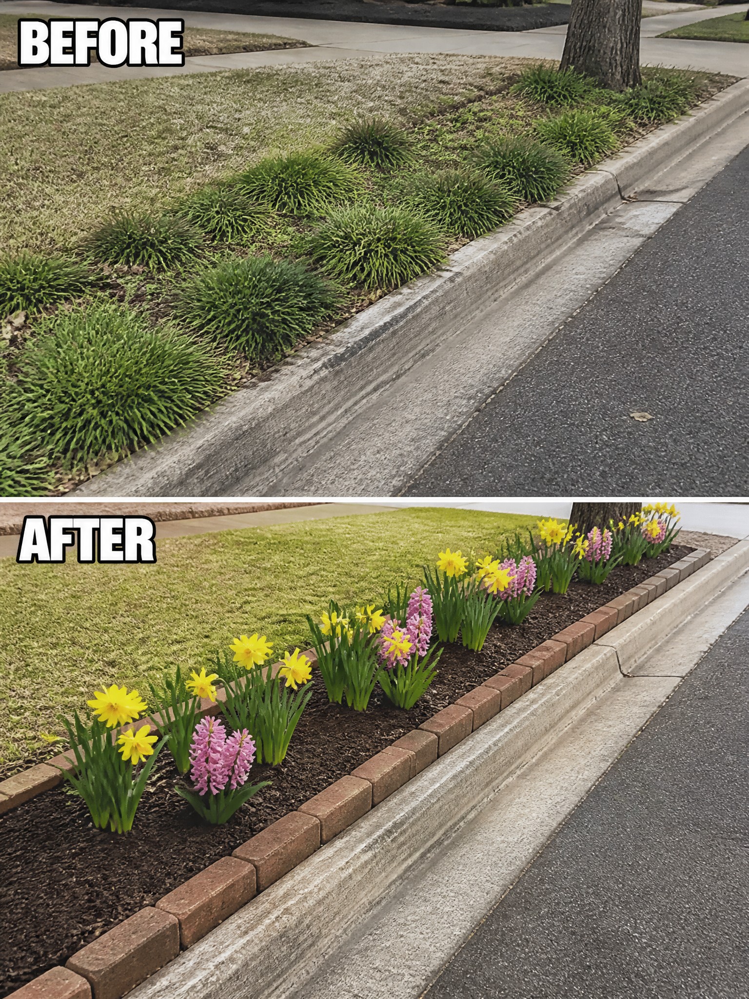 Before and after of weedy grass strip transformed into colorful flower bed.