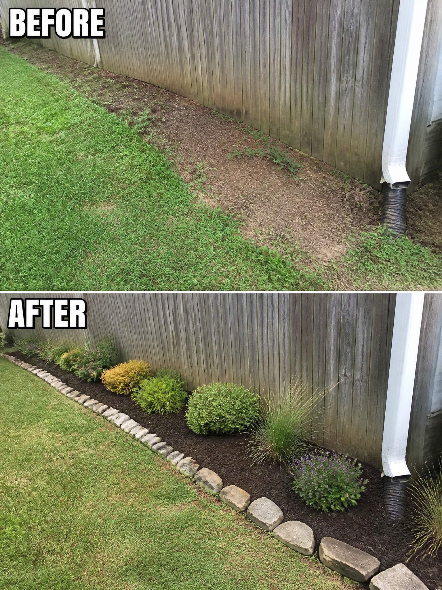 Before-and-after image of a weedy dirt strip along a wooden fence changed into a mulched garden bed with rock edging and planted shrubs.