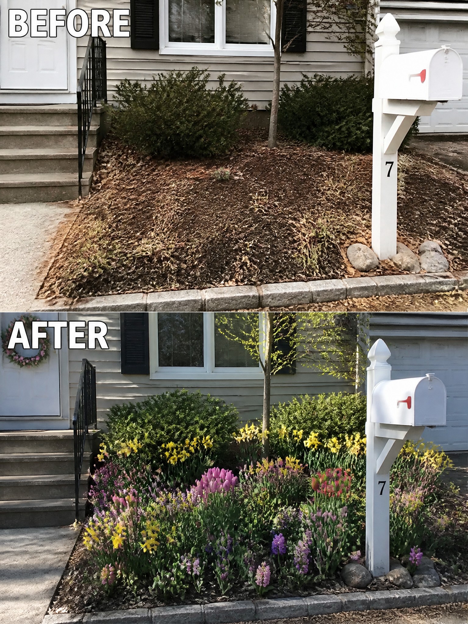 Before and after of bare mulch bed transformed into colorful spring flower garden with mailbox.