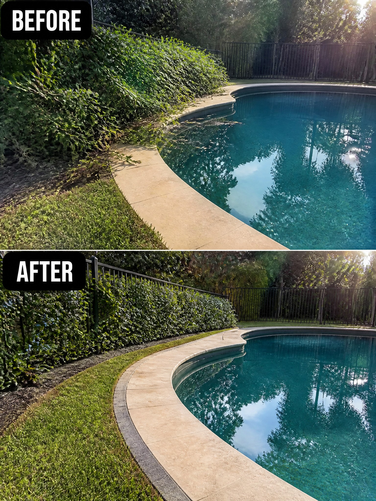 Before and after of curved pool with new black fence and landscaped greenery