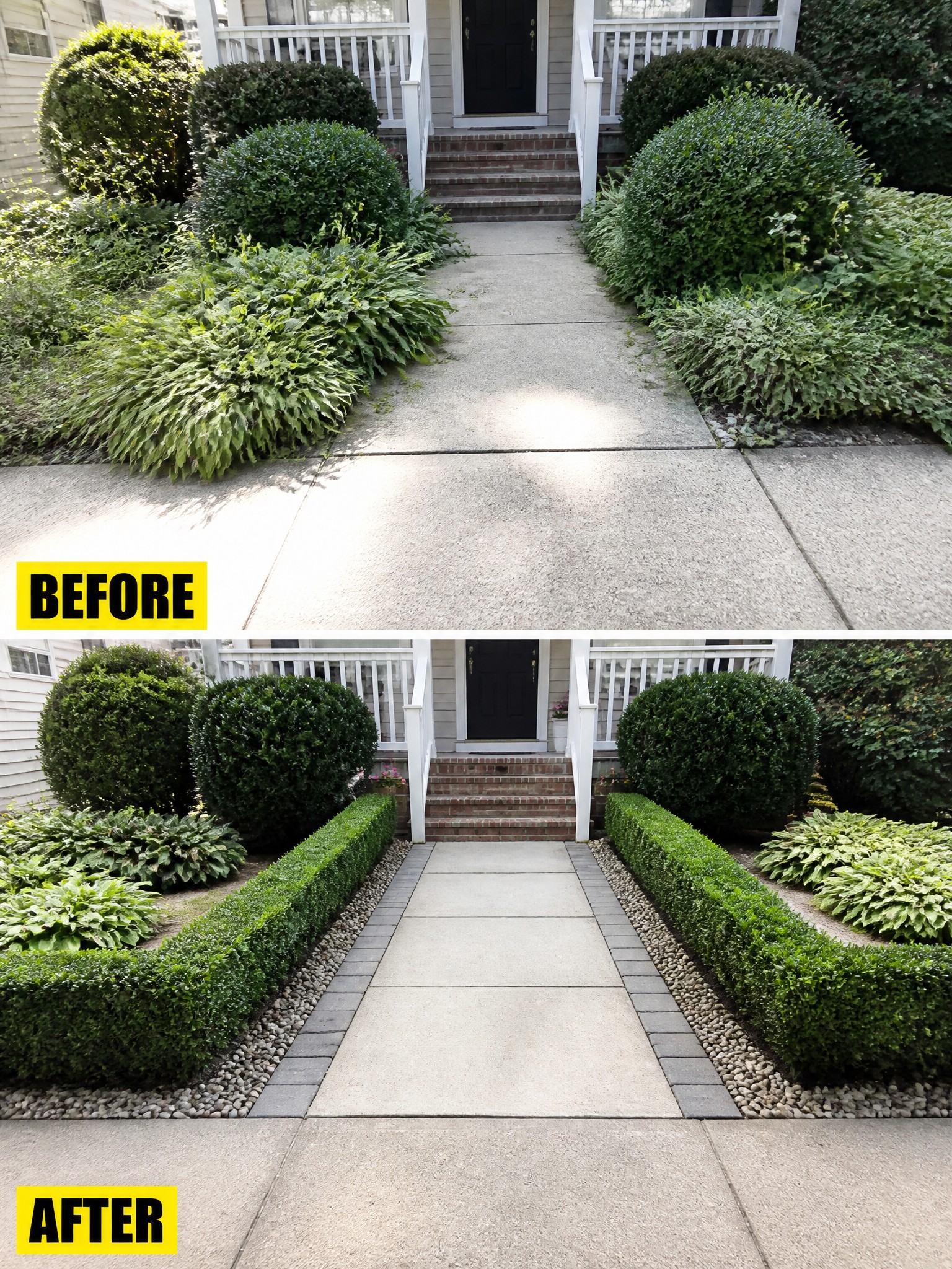 Before and after of walkway with messy shrubs transformed into neat boxwood hedges.