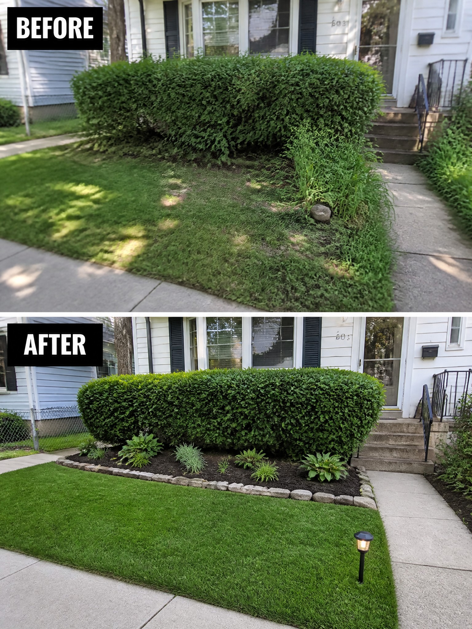 Before-and-after image of an overgrown front hedge and lawn changed into a neat lawn with a mulched garden bed bordered by stone.