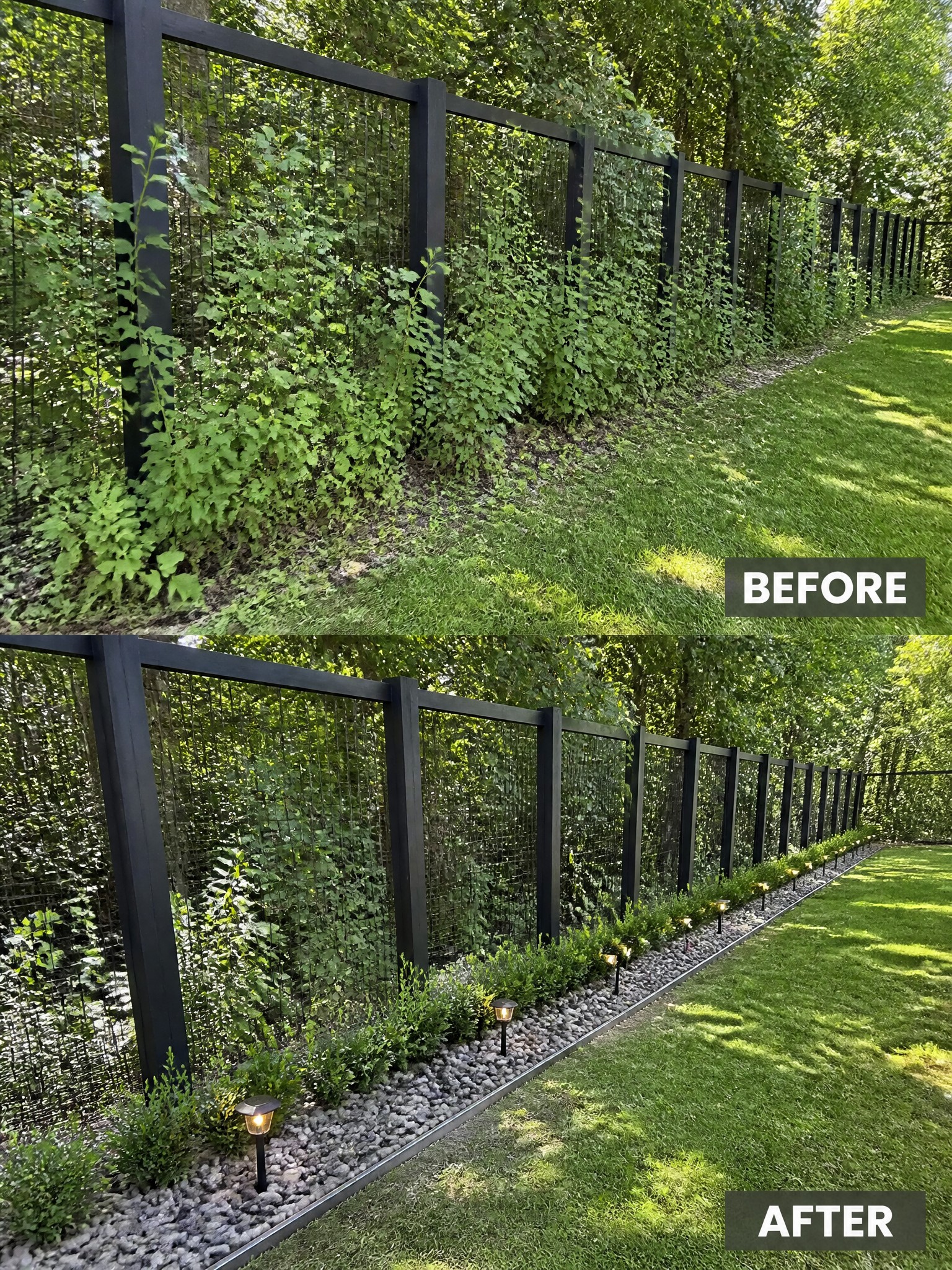 Before-and-after image of an overgrown fence line changed into a neat border with gravel, low shrubs, and solar lights.