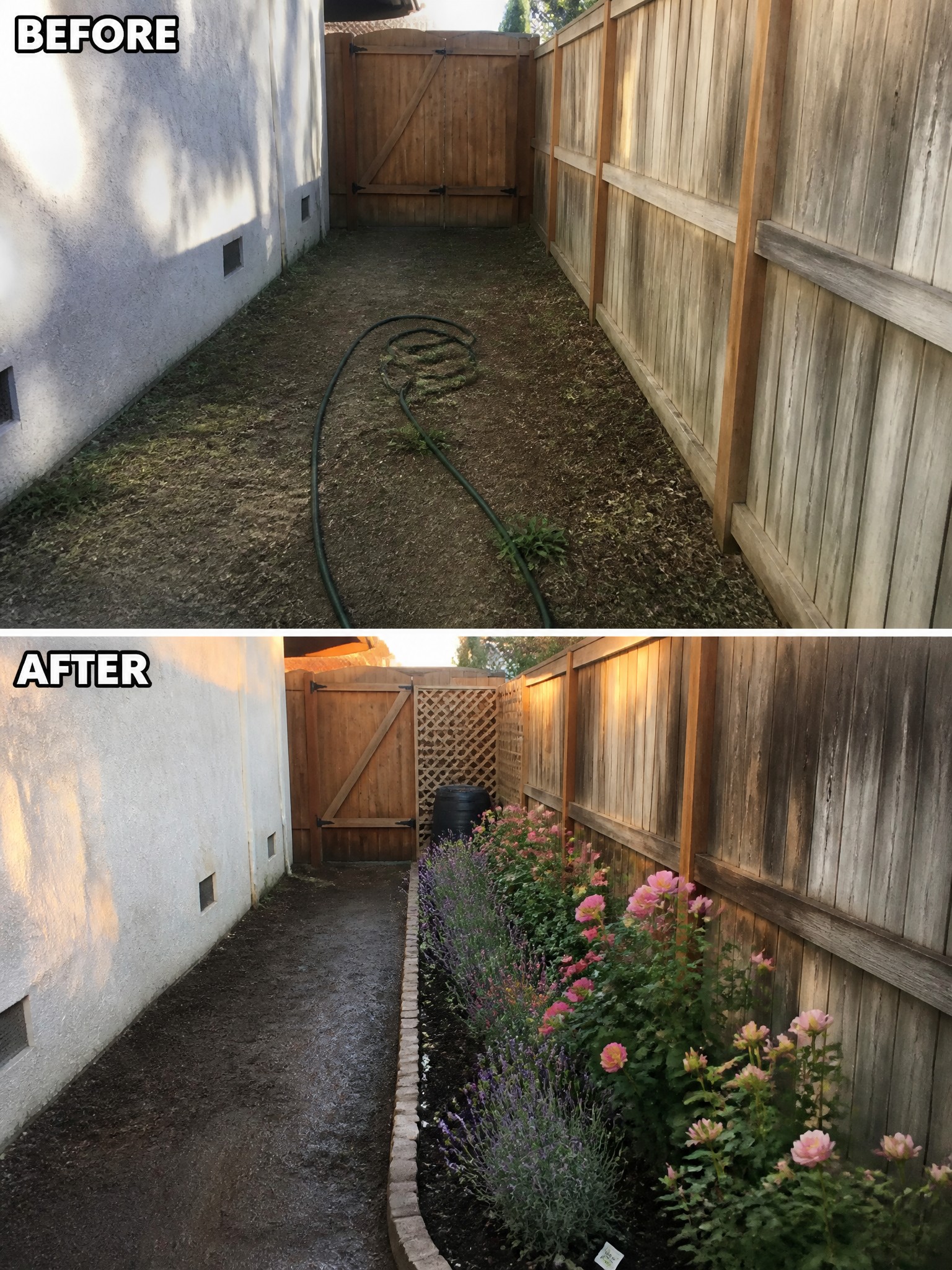 Before-and-after image of a bare dirt side yard path transformed by a long flower border with brick edging along the fence.