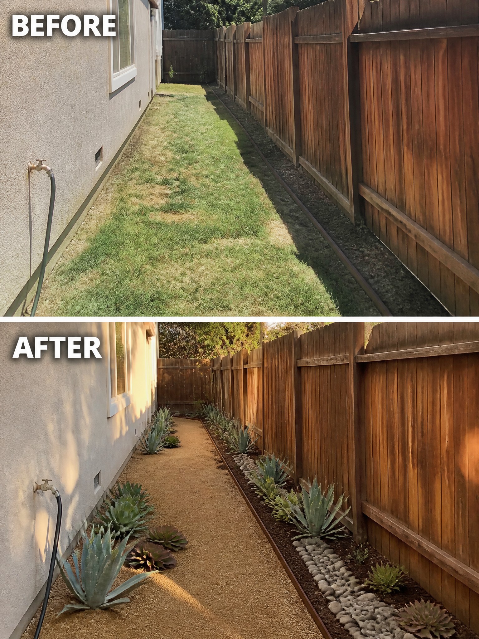 Before and after side yard with patchy grass replaced by gravel and agaves