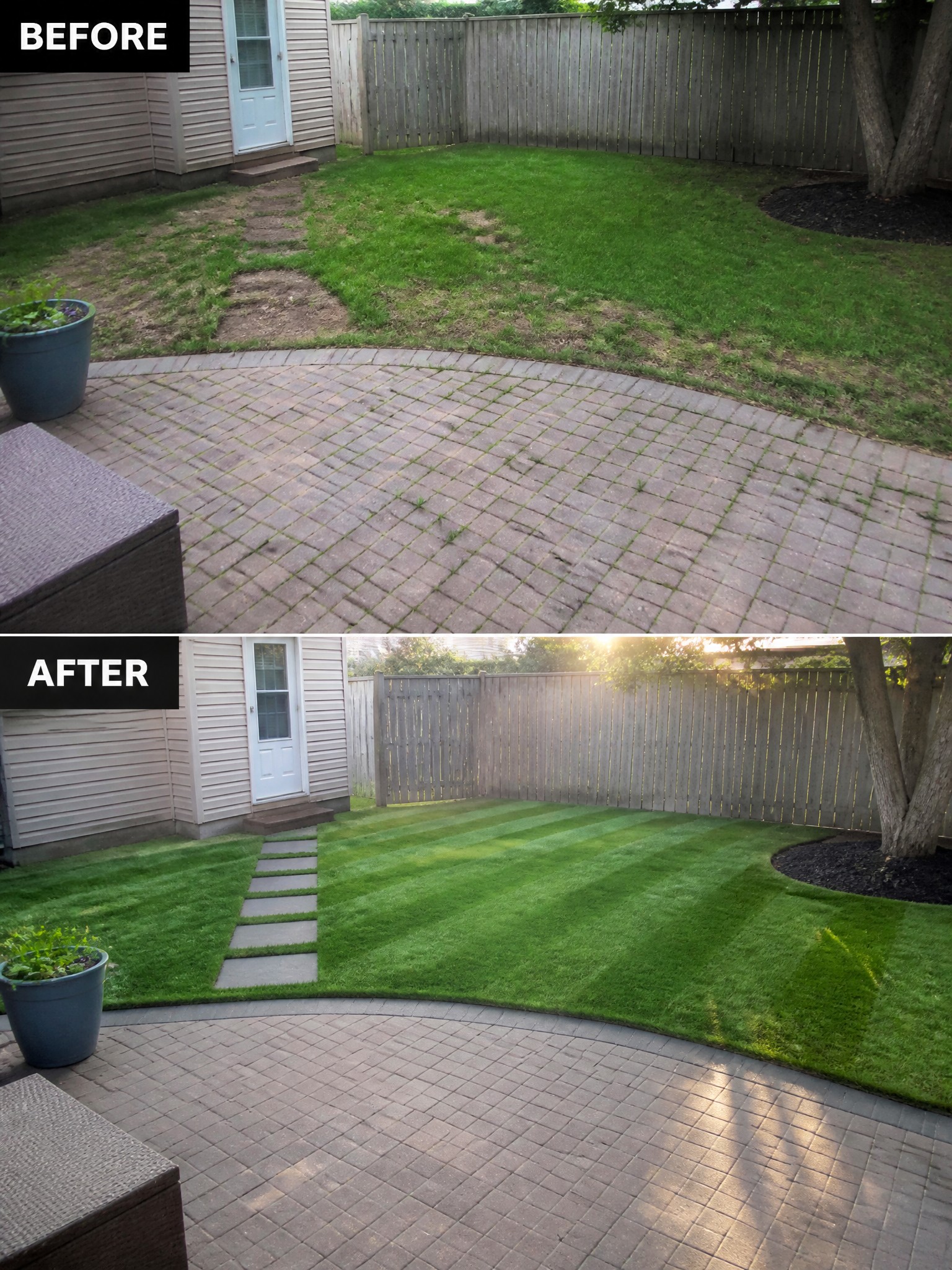 Before-and-after image of a backyard showing patchy grass next to a brick patio changed into a neatly edged and striped lawn with a clean curved border.
