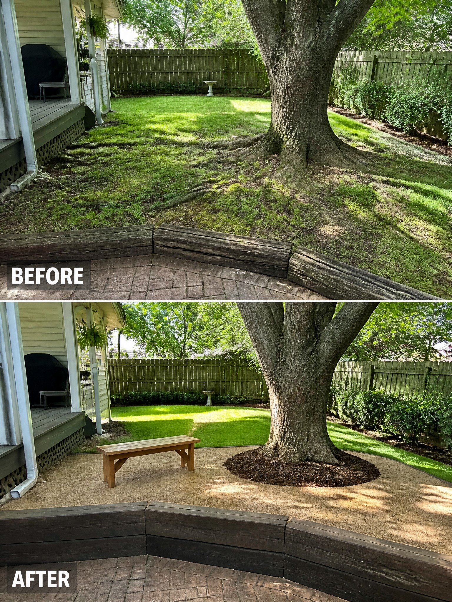 Before-and-after backyard with large tree, new patio, bench, and mulch ring