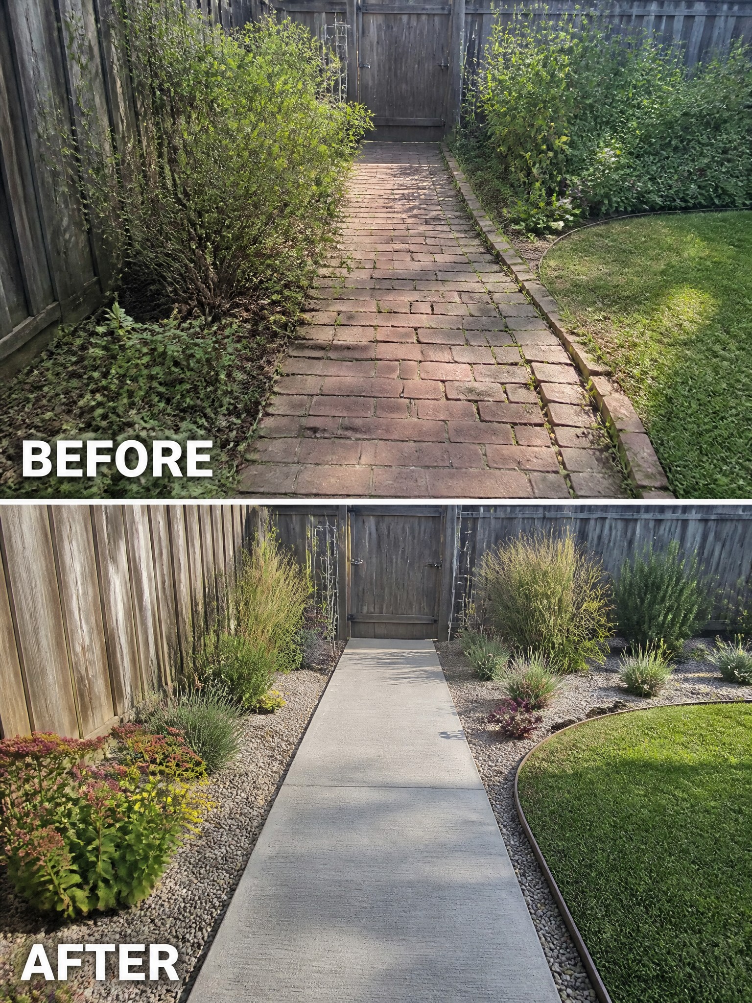 Before-and-after image of an overgrown garden path changed into a clean concrete walkway with gravel borders and defined planting beds.