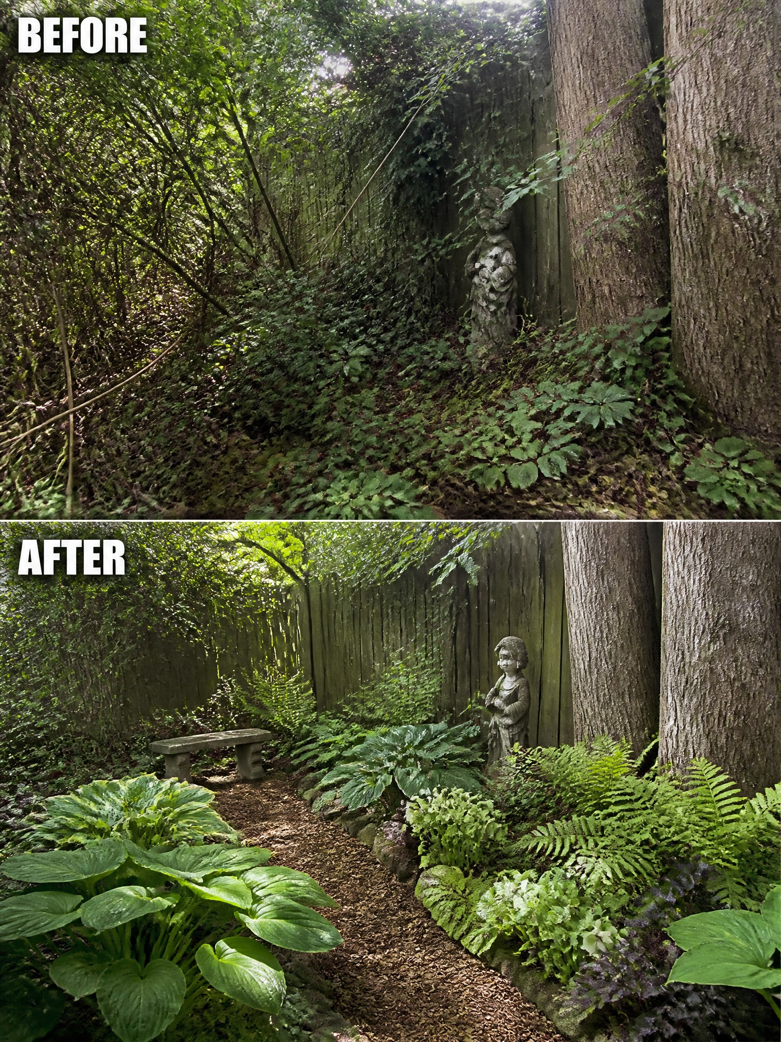 Before-and-after image of an overgrown garden transformed into a landscaped path with defined beds, mulch, and structured planting.