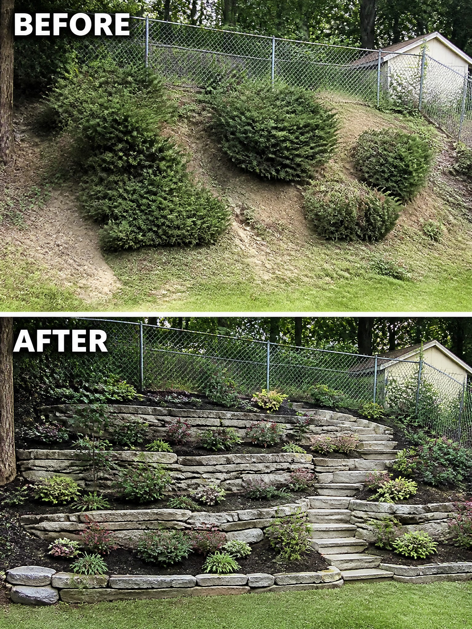 Before-and-after image of an overgrown hillside changed into terraced stone retaining walls with garden beds and steps.
