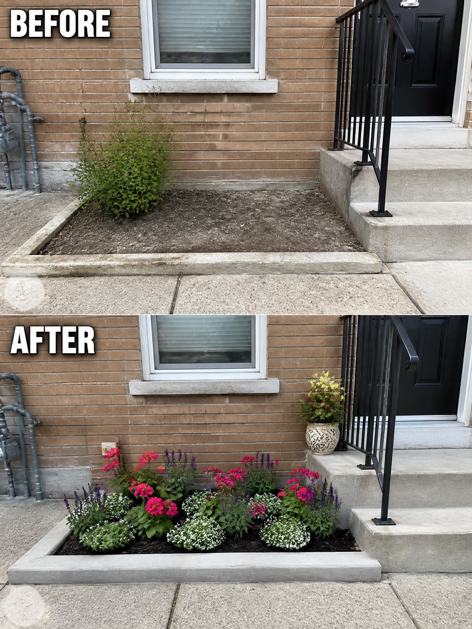 Before-and-after of bare garden bed transformed into colorful flower planting by steps.