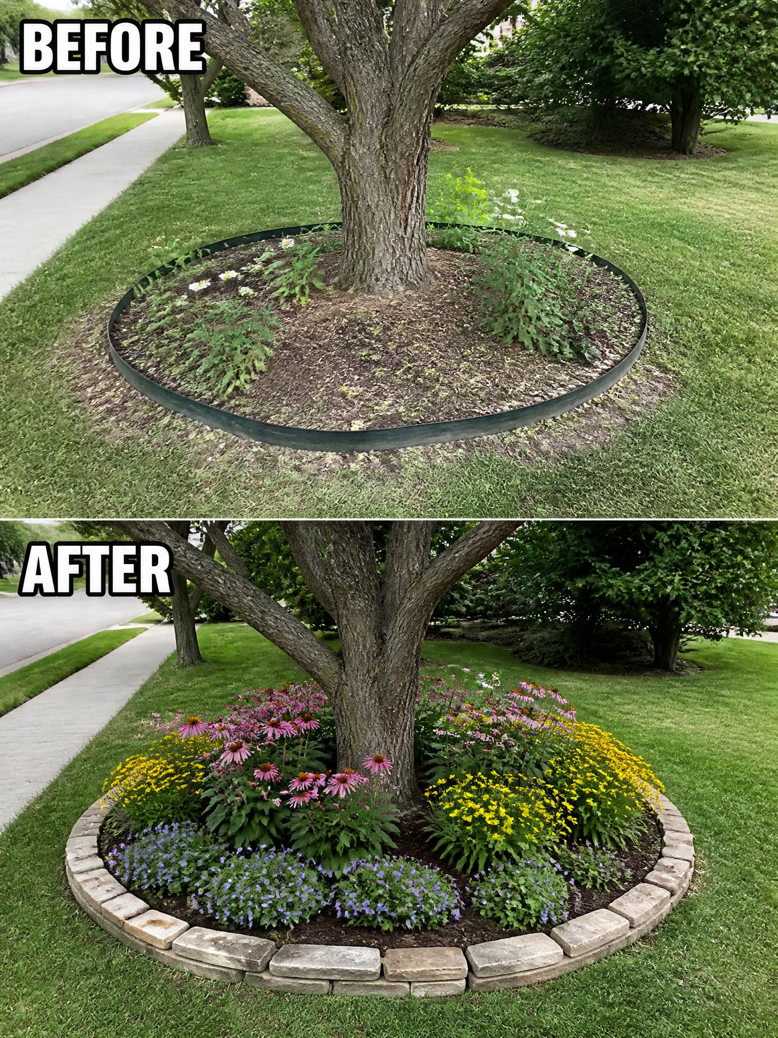 Before-and-after image of a tree ring changed from a thin metal border with sparse plants into a stone-edged bed filled with layered flowers and mulch.