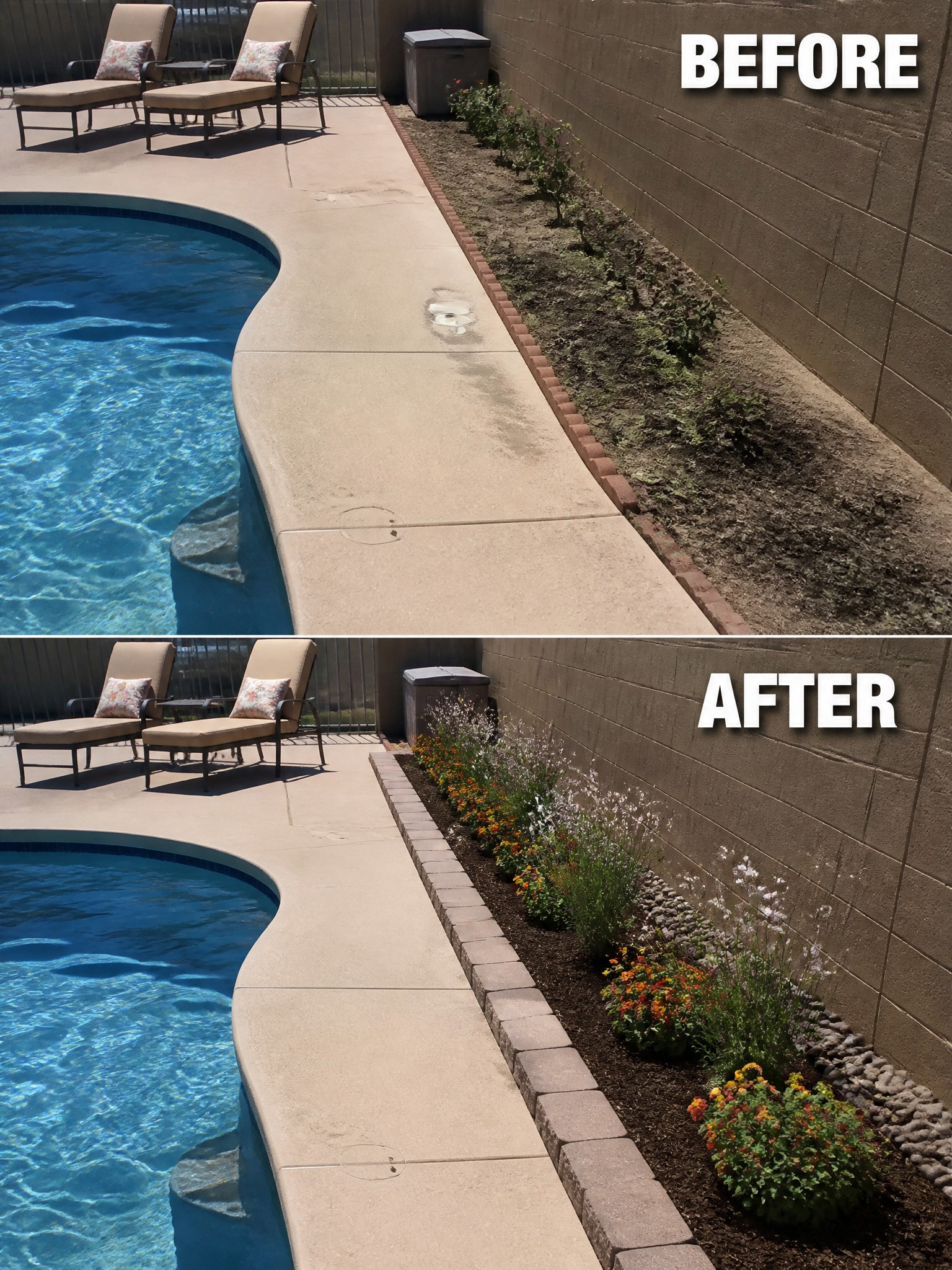 Poolside garden bed before and after landscaping with colorful flowers and plants
