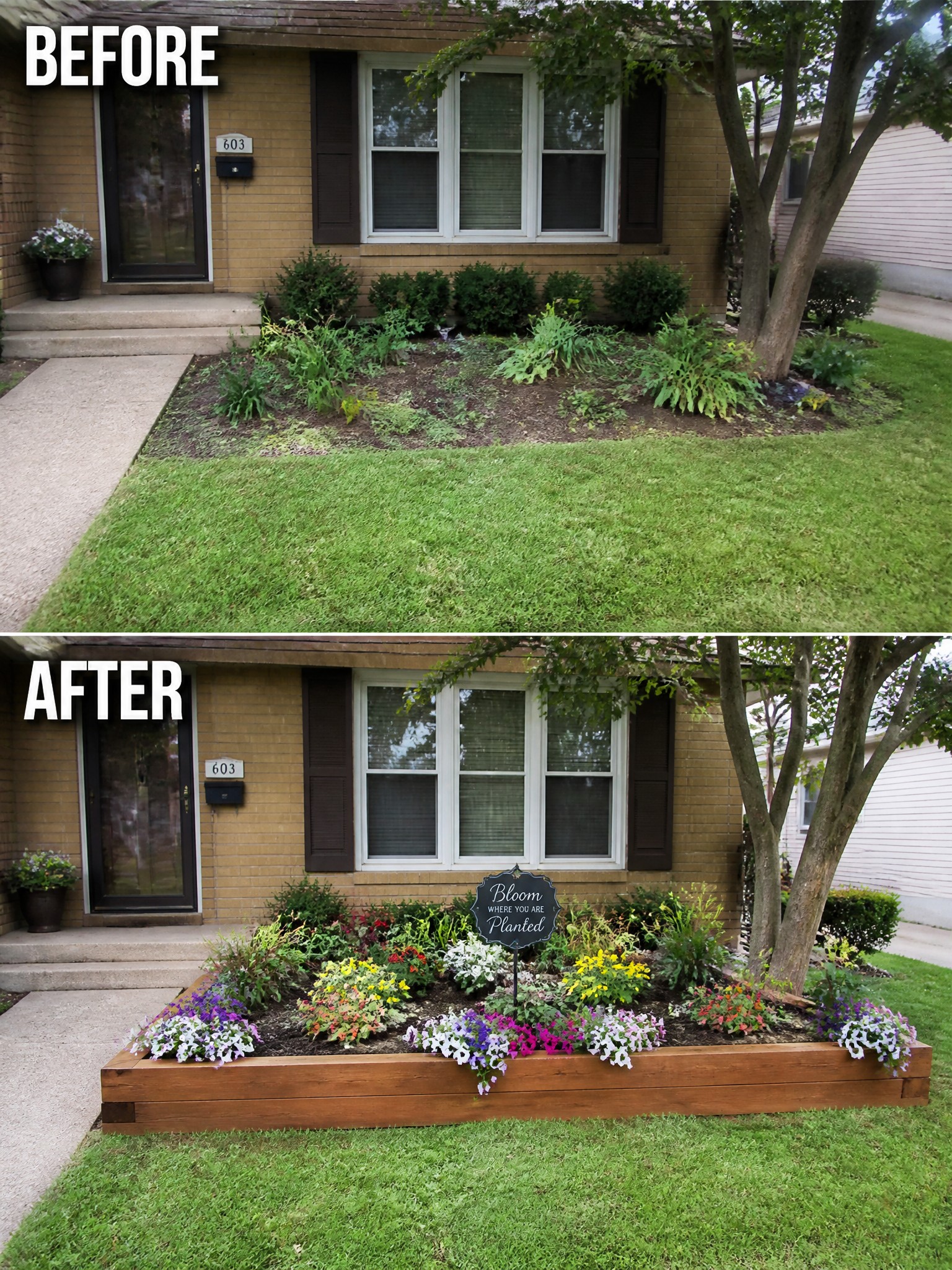 Before and after of weedy garden bed transformed into colorful raised flower garden at house.