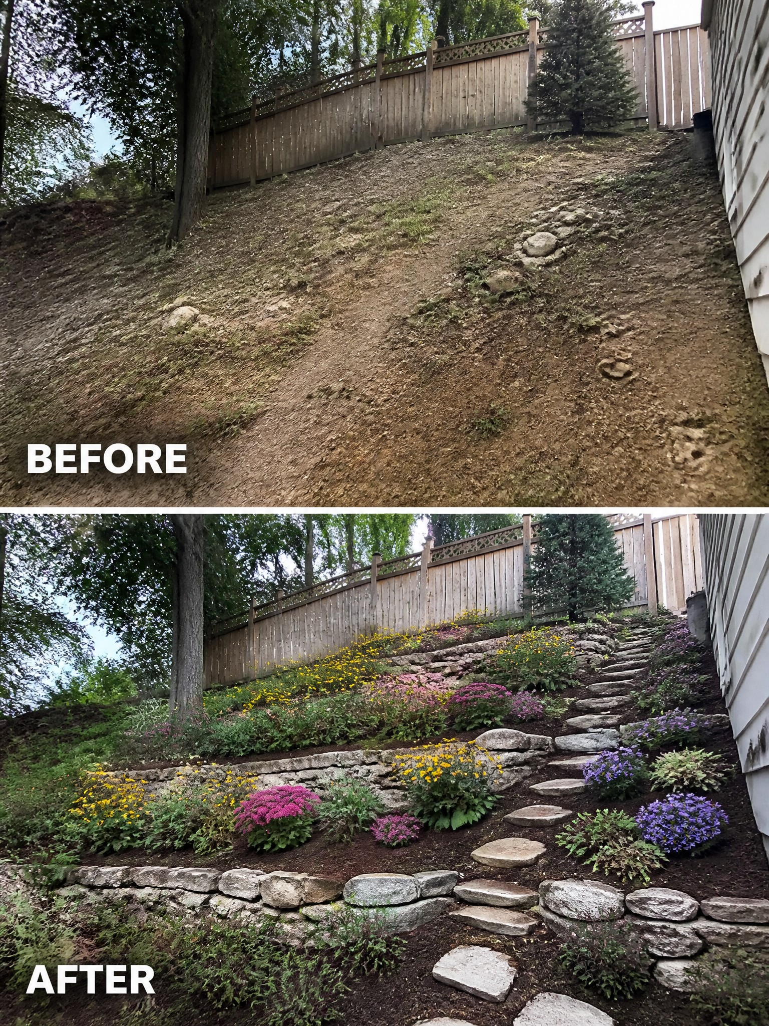 Before and after of bare hillside transformed into terraced garden with stone walls and flowers.