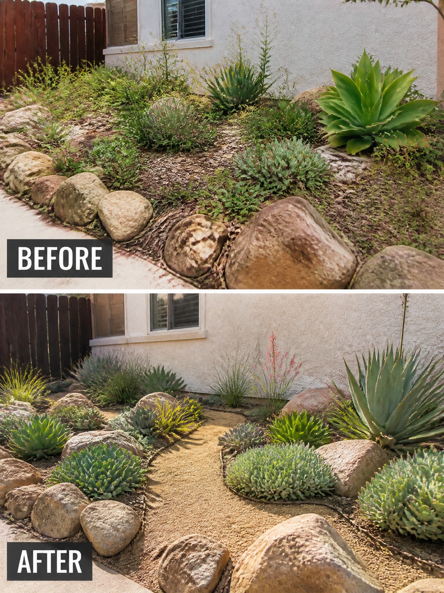 Before-and-after garden makeover with rocks, gravel path, and succulents.