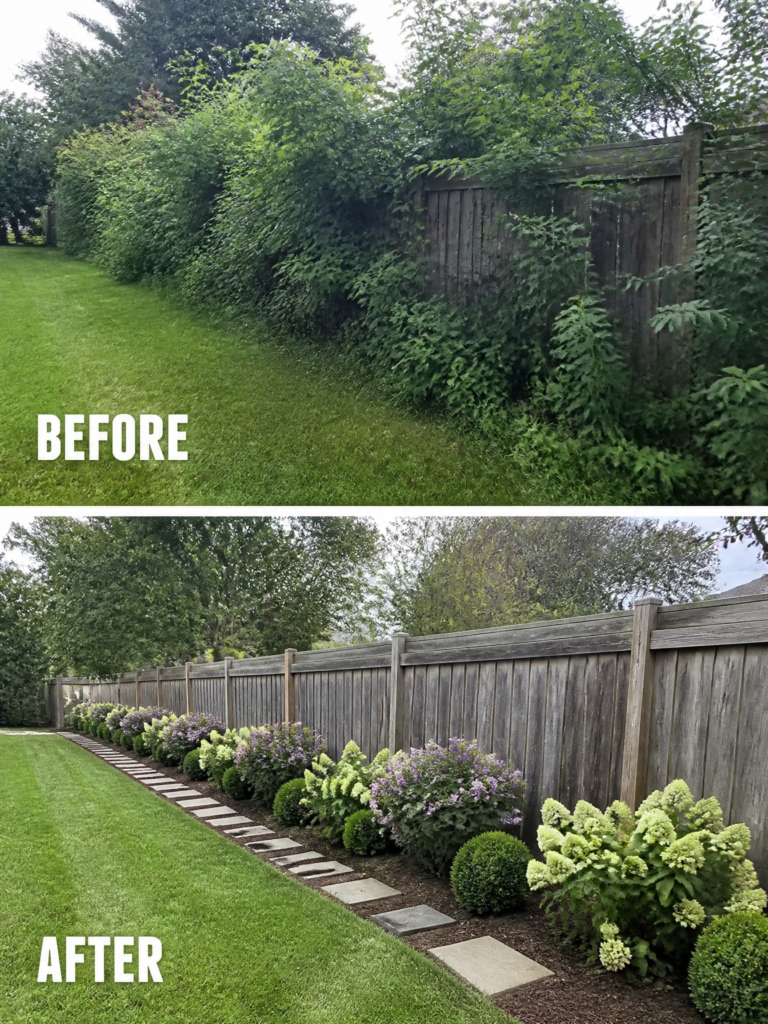 Before and after views of landscaping along a wooden fence in a backyard.