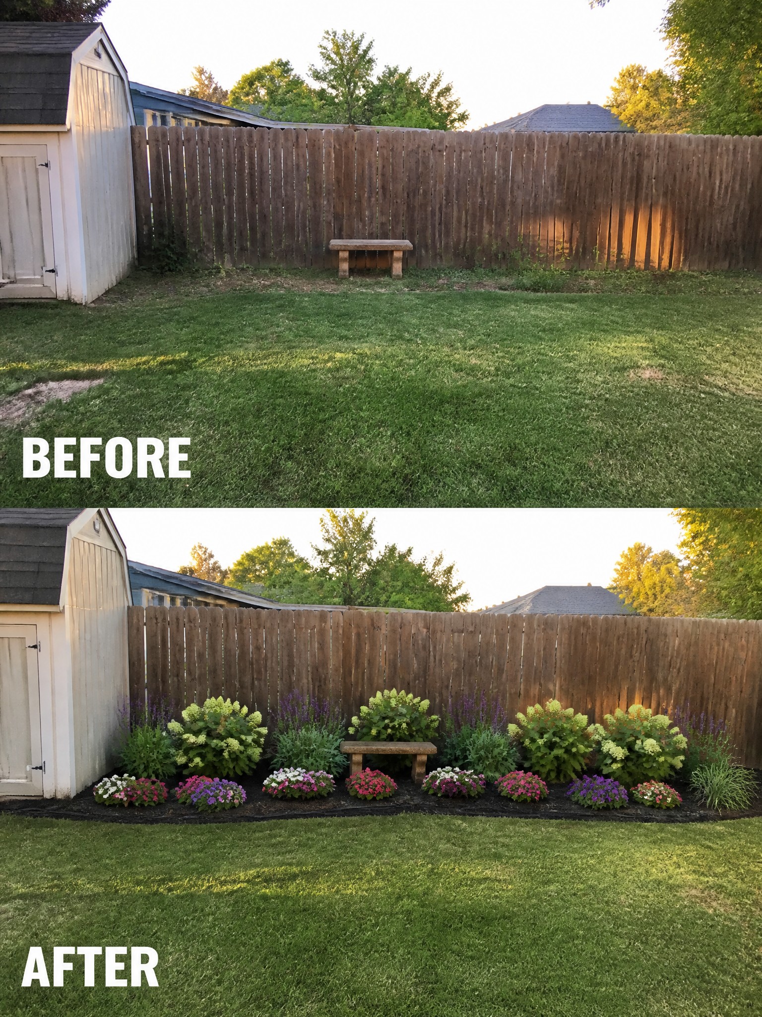 Before and after backyard with new colorful flower bed along fence