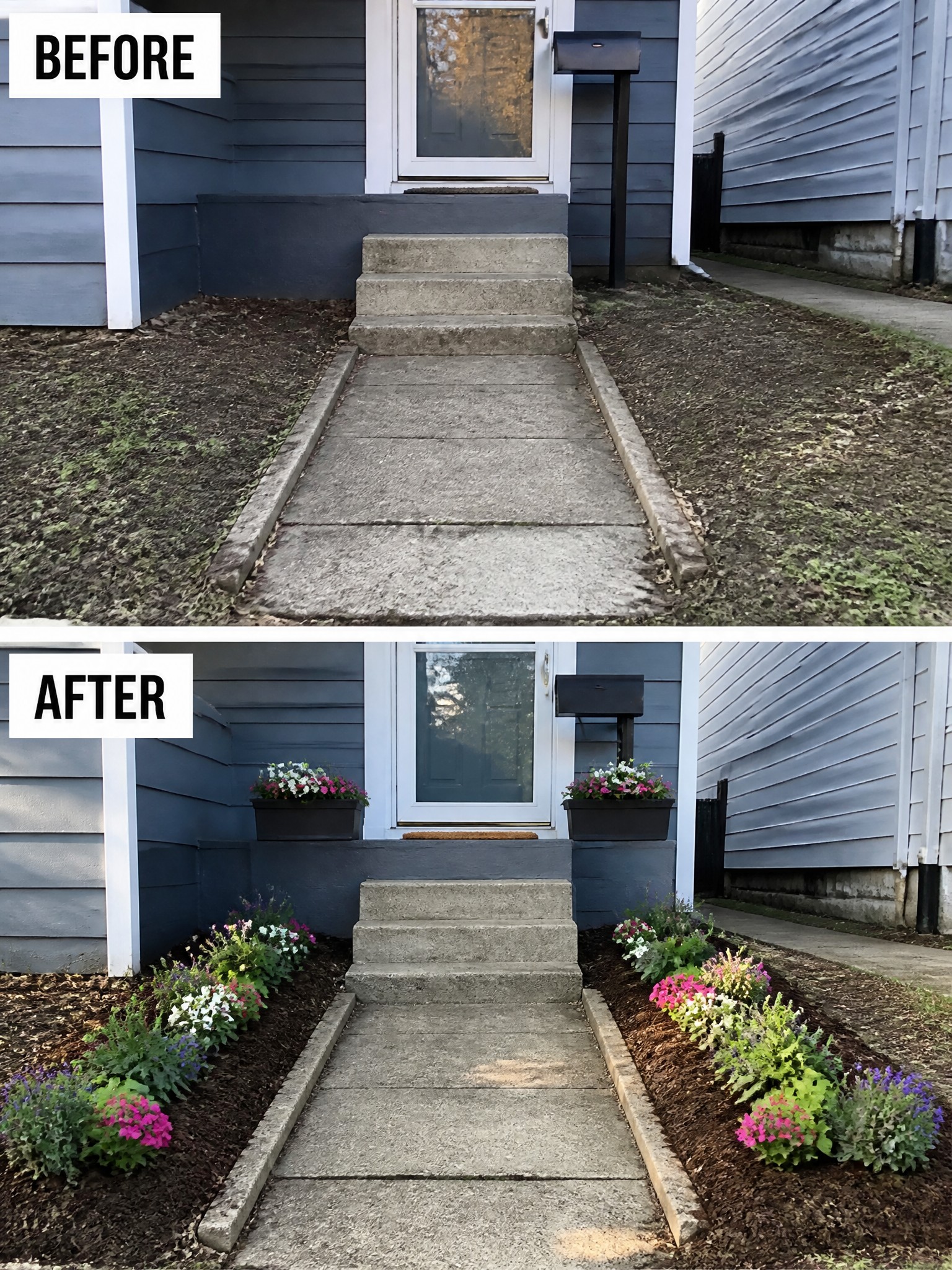 Before and after of house walkway transformed by colorful flower beds on both sides.