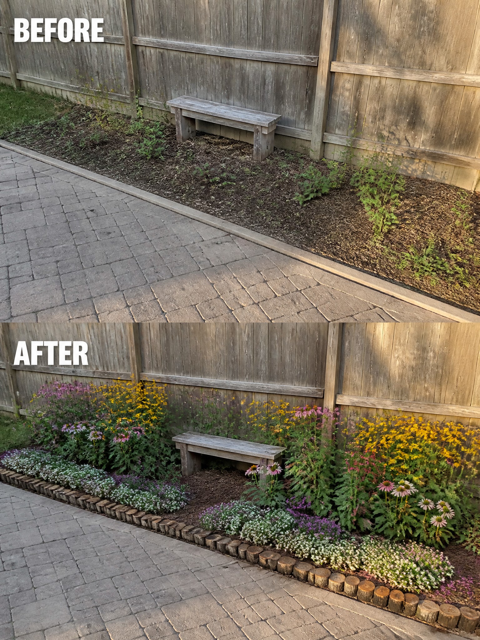 Before-and-after image of a weedy area along a fence changed into mulched flower beds with log edging and colorful plants.