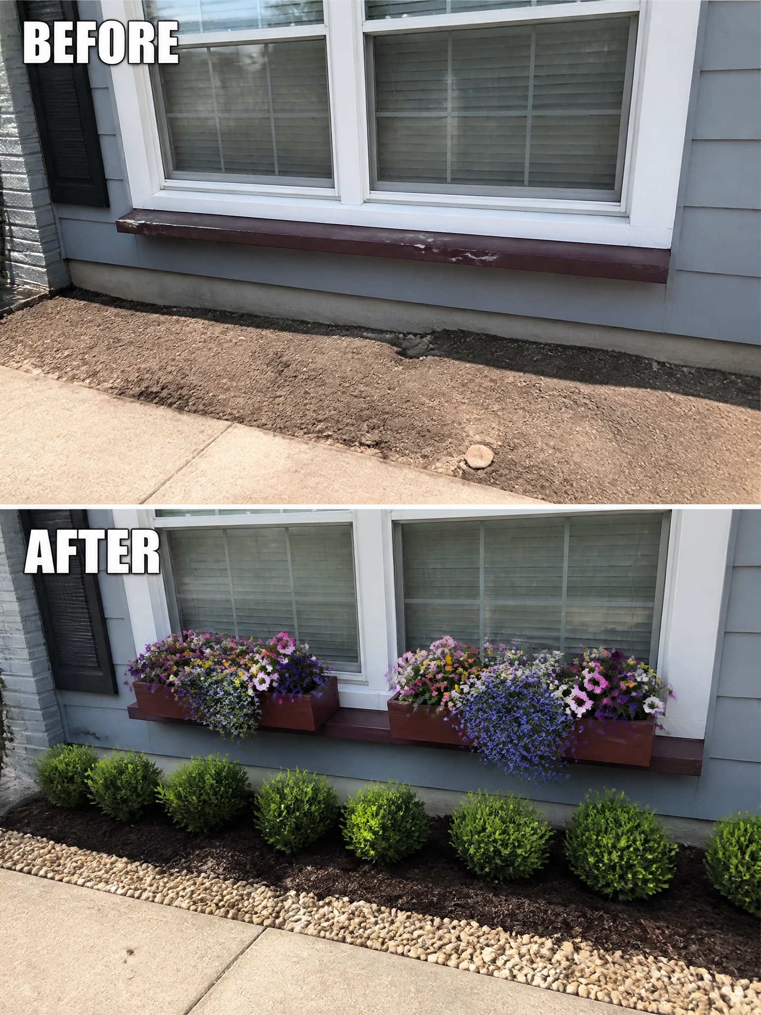 Before and after window with colorful flower boxes and green shrubs added