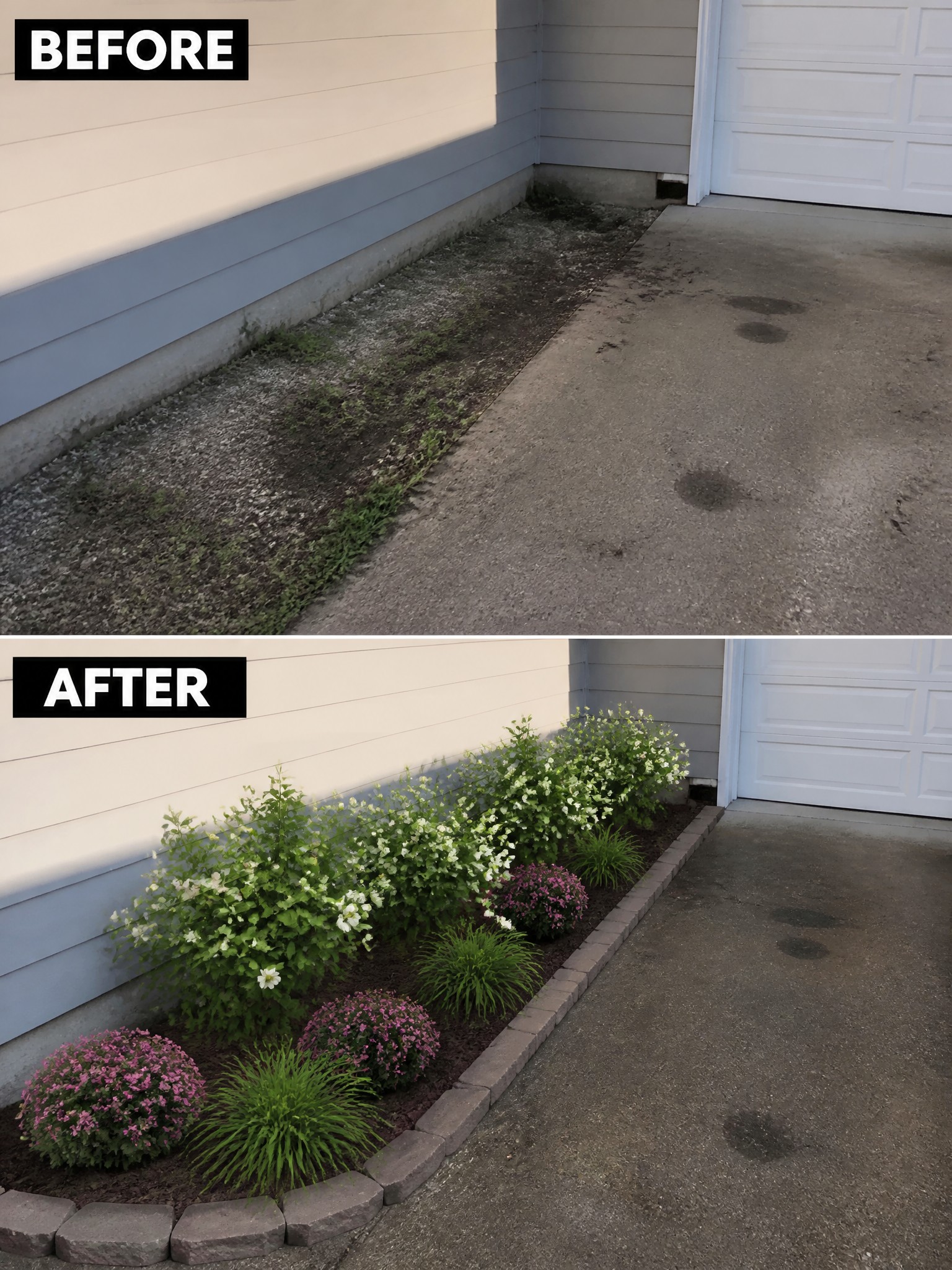 Before-and-after image of a weedy strip along a house foundation changed into a mulched garden bed with stone edging, shrubs, and flowering plants.