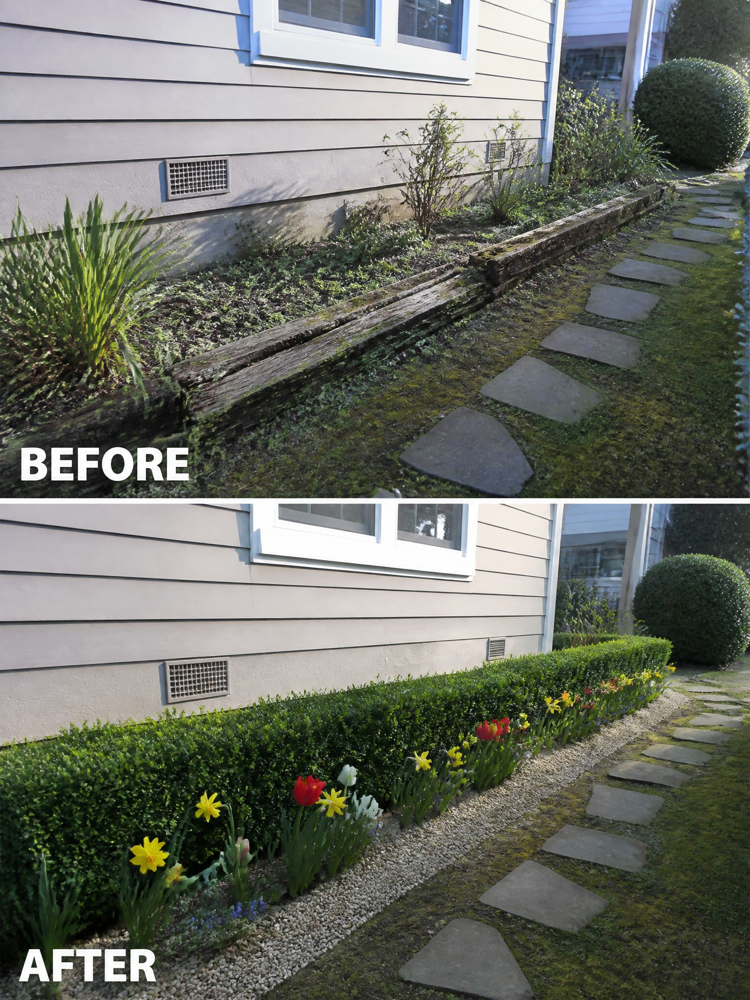 Before-and-after image of an overgrown side yard transformed with a trimmed hedge border, gravel strip, and row of flowers.