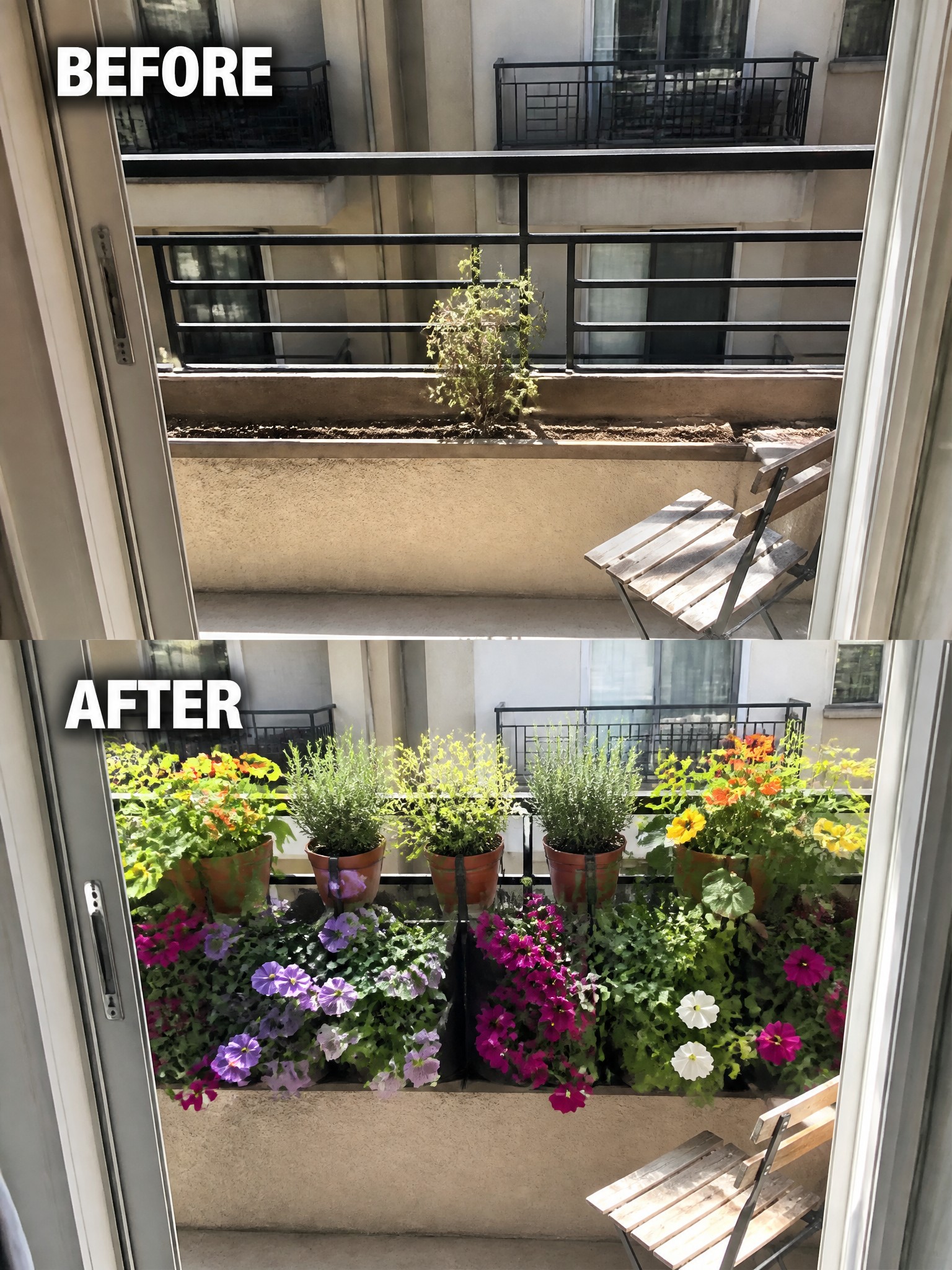 Before and after balcony with sparse plant then vibrant colorful potted flowers and bench
