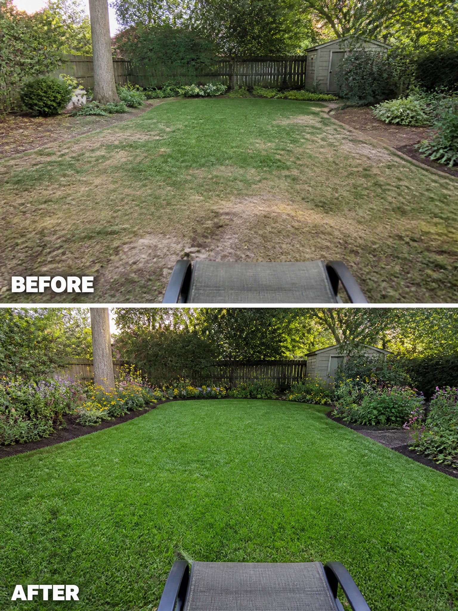 Backyard lawn before and after renovation from patchy brown to lush green grass