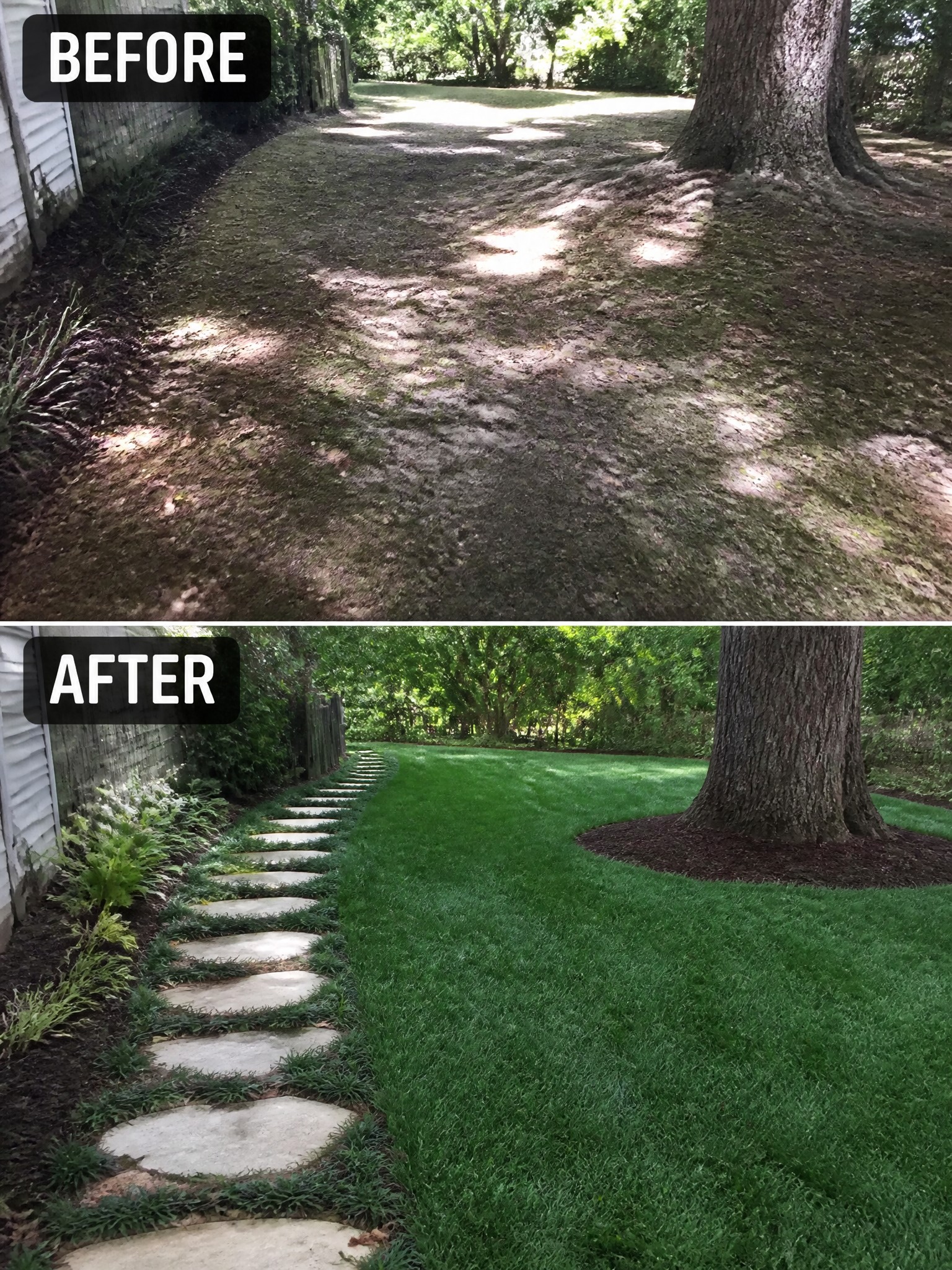 Before and after of backyard path from dirt trail to stone walkway with lush lawn