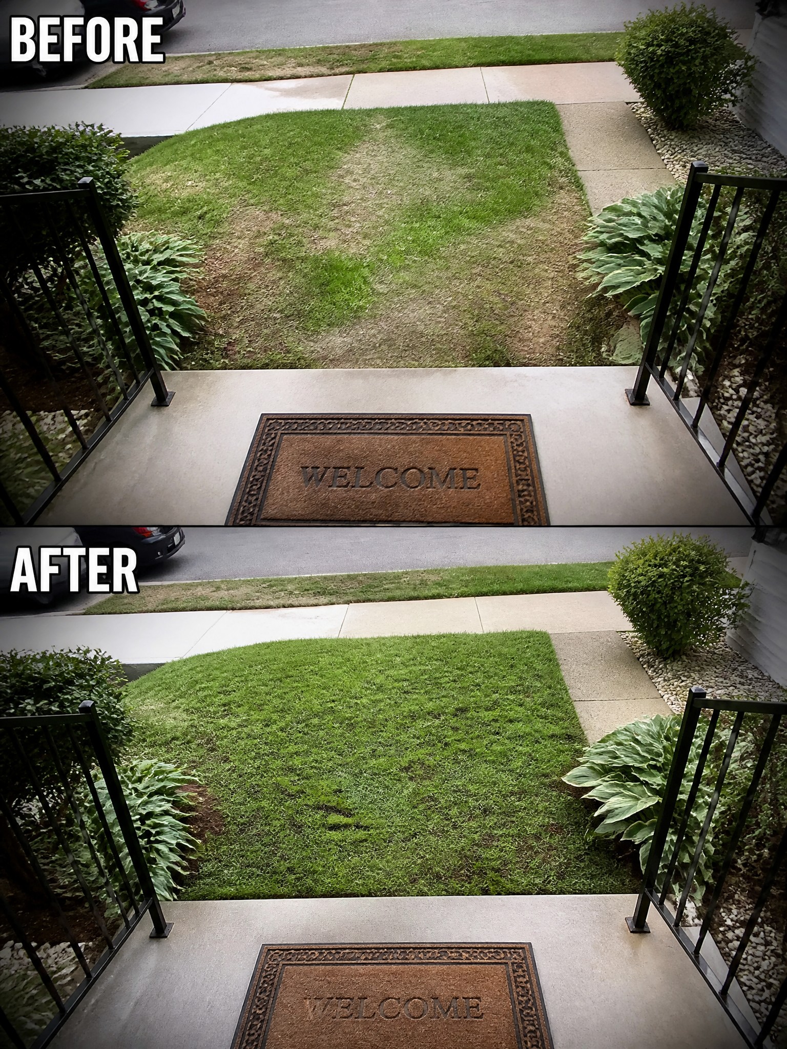 Before-and-after lawn makeover showing patchy brown grass transformed into lush green turf.