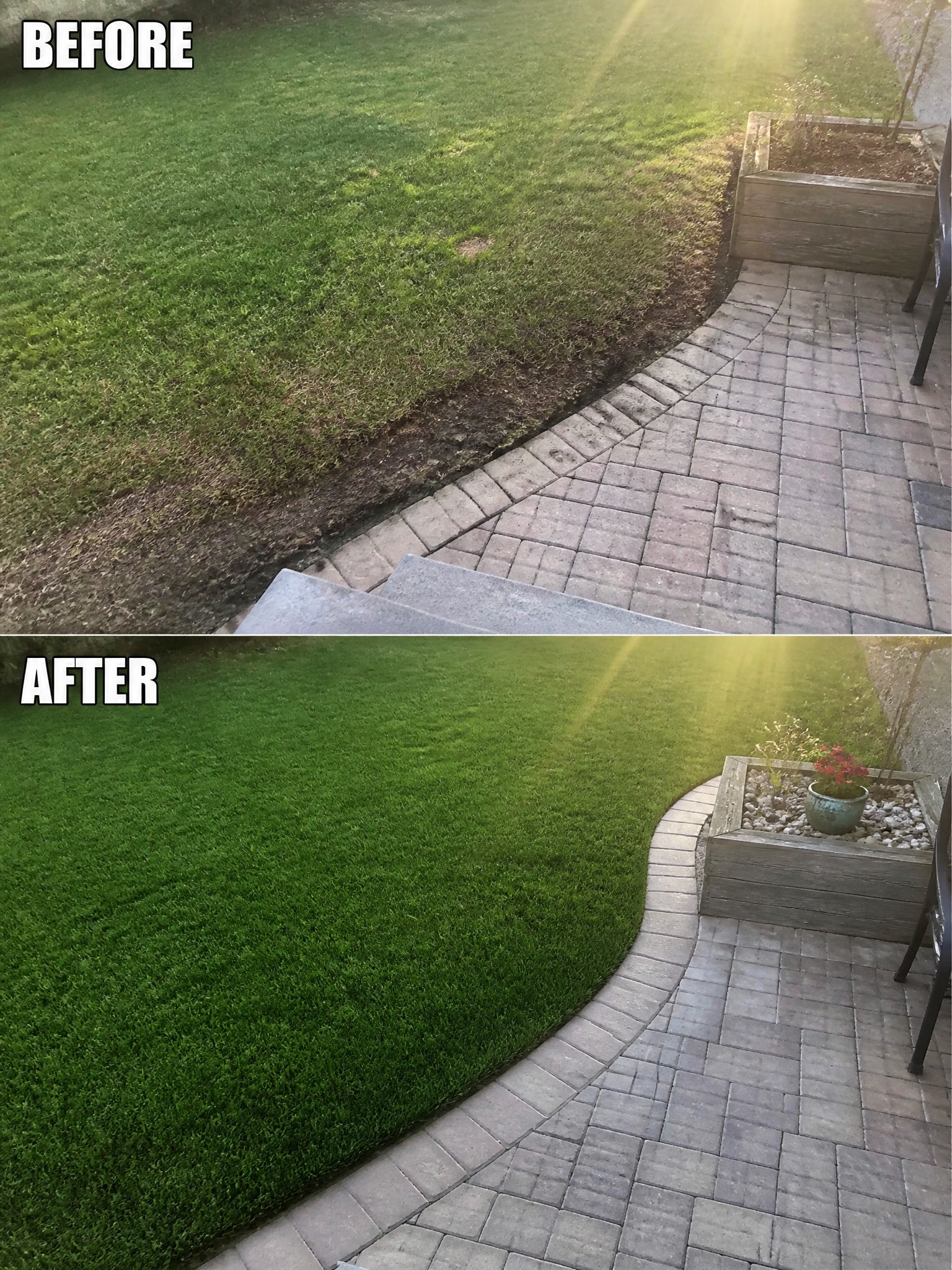 Before-and-after image of a patchy lawn beside a patio updated to a thick green lawn with a defined curved edge.