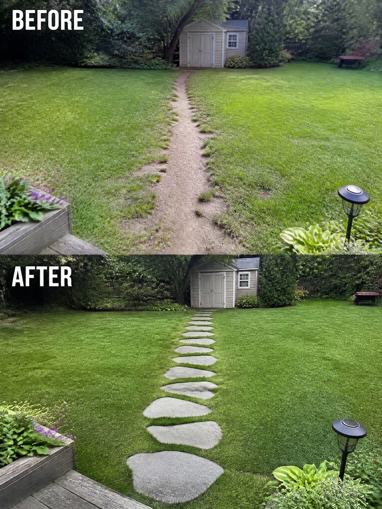 Before and after of dirt path through lawn replaced by stepping stones to shed.