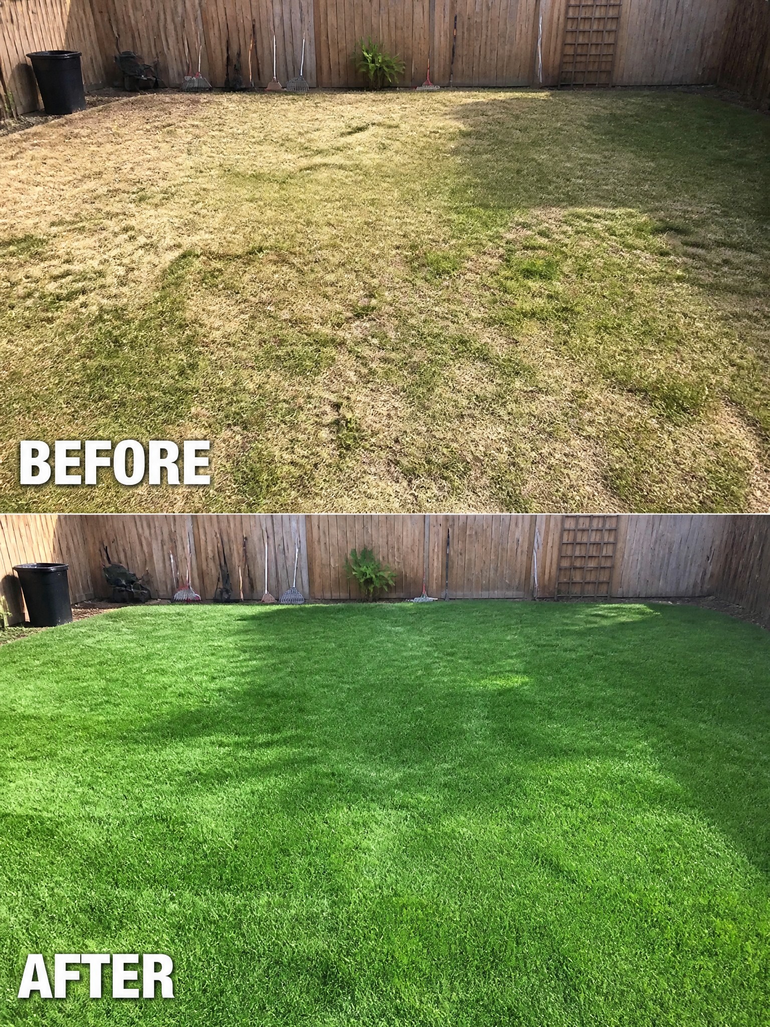 Before-and-after image of a patchy dry lawn restored to a full green lawn.