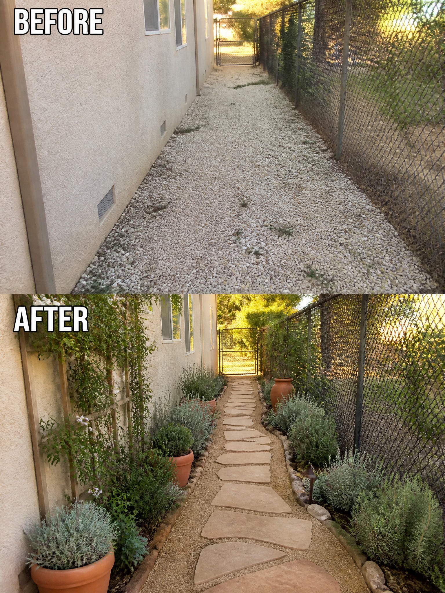 Before-and-after image of a gravel side yard transformed with a stone path and planted borders.