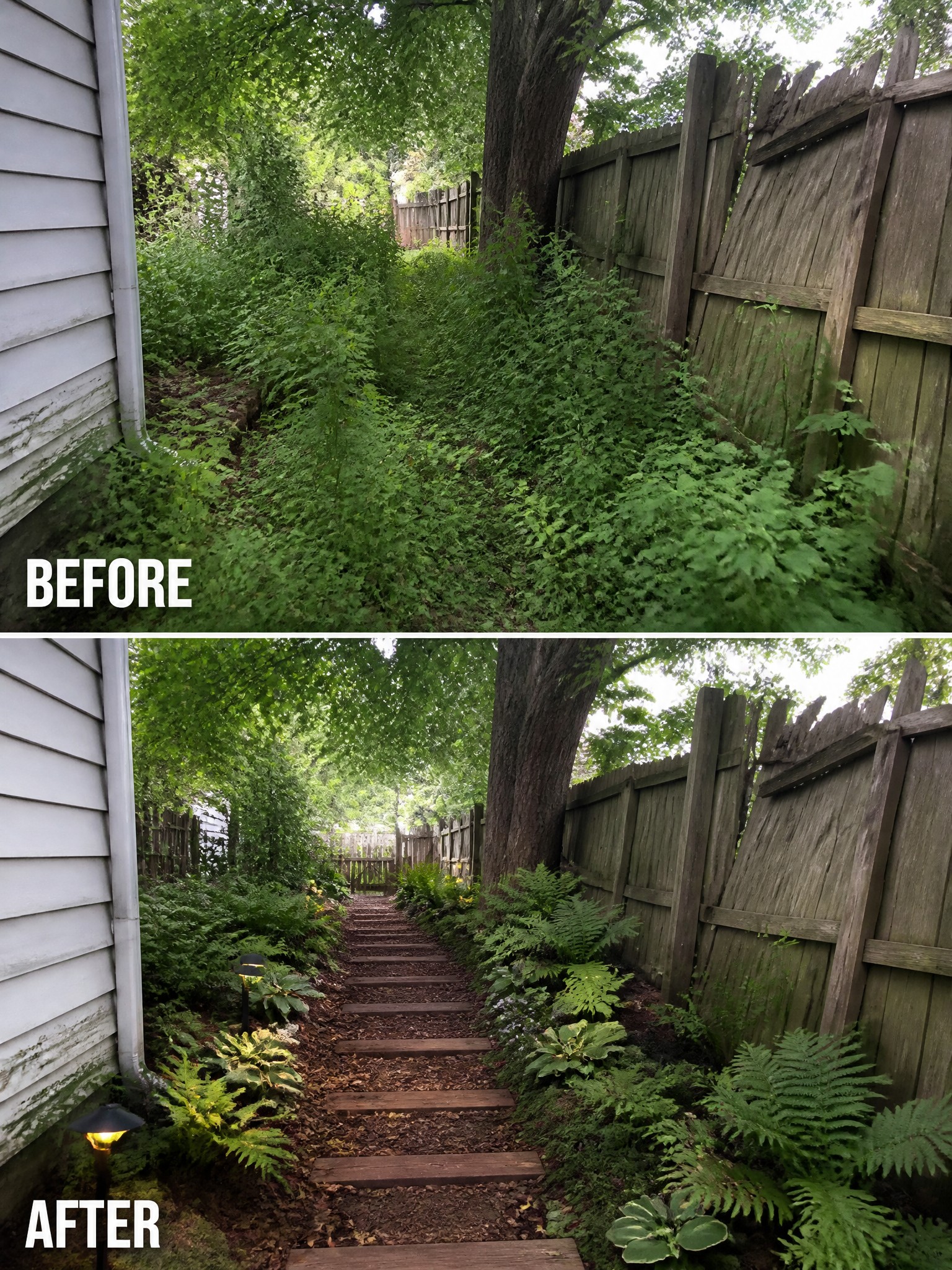 Before and after of overgrown path transformed into wooden steps with ferns and lights