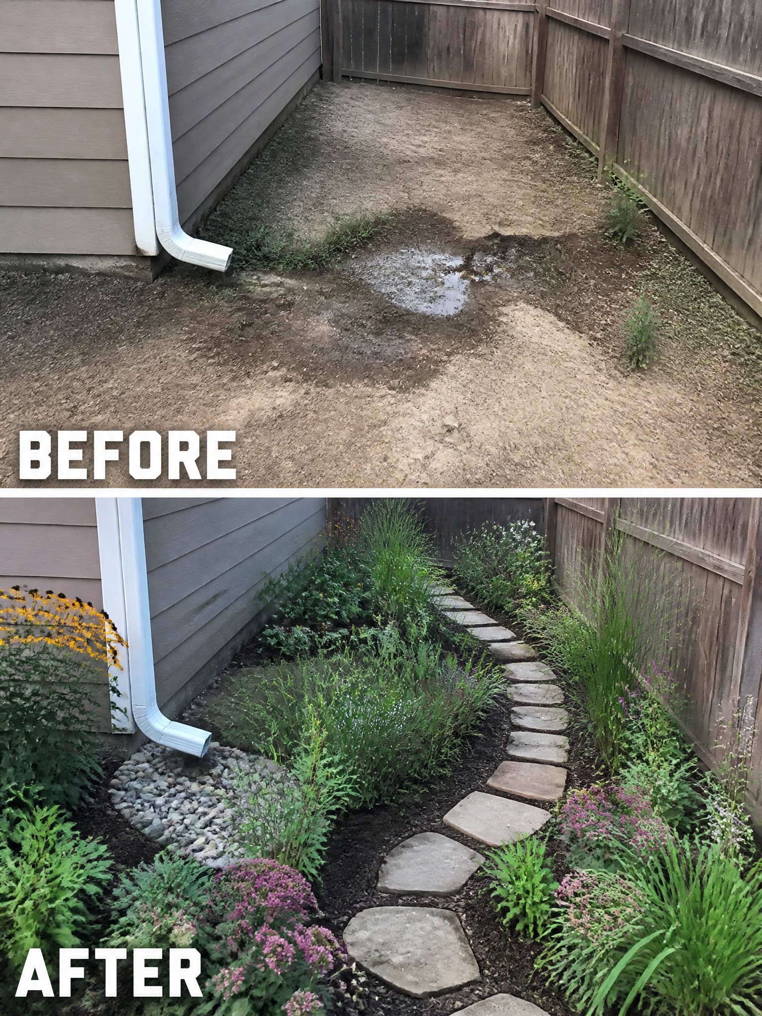 Before-and-after backyard transformation with plants, flowers, and stone pathway.