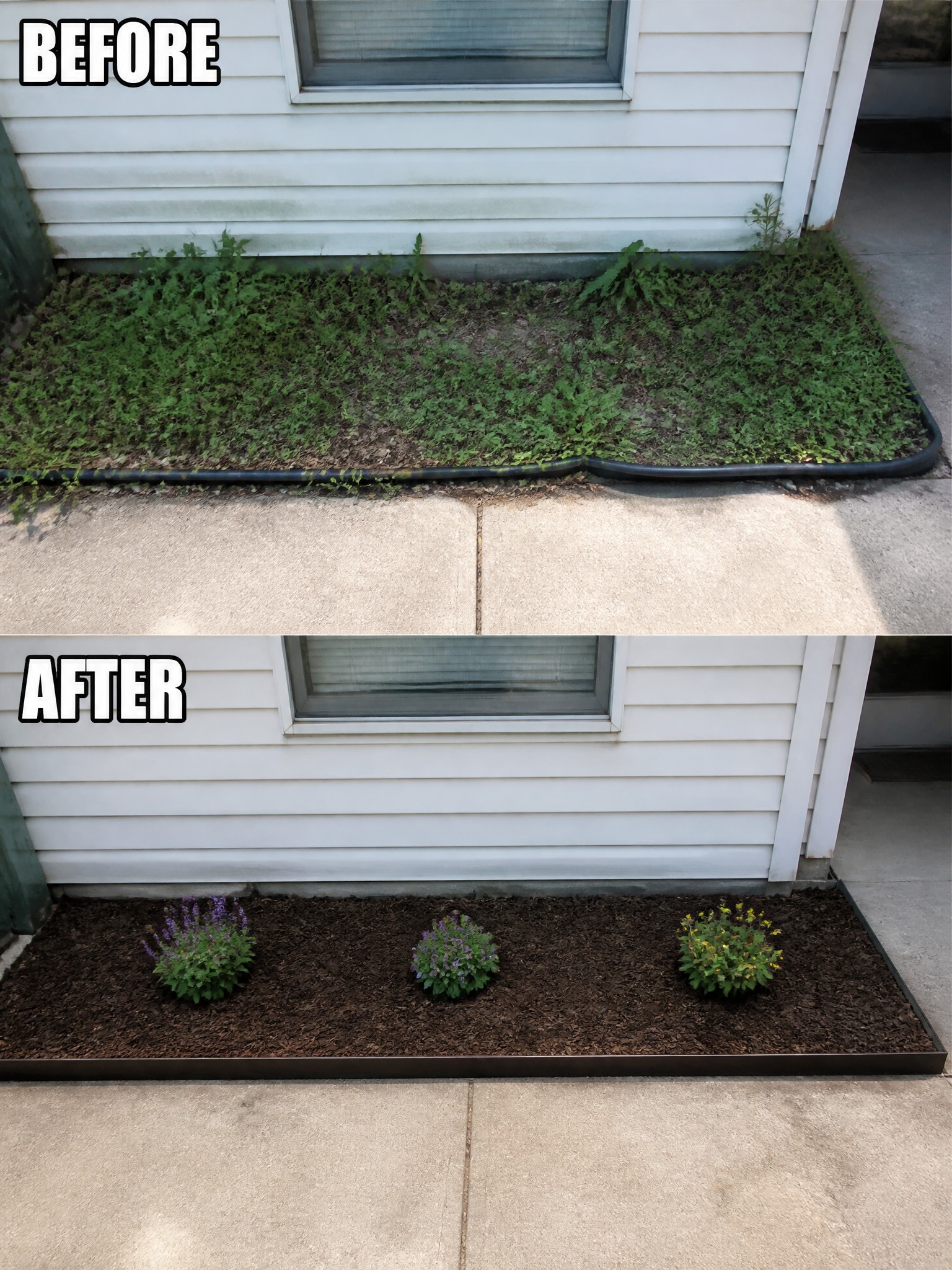 Before and after of weedy garden bed mulched with three flowering plants by house