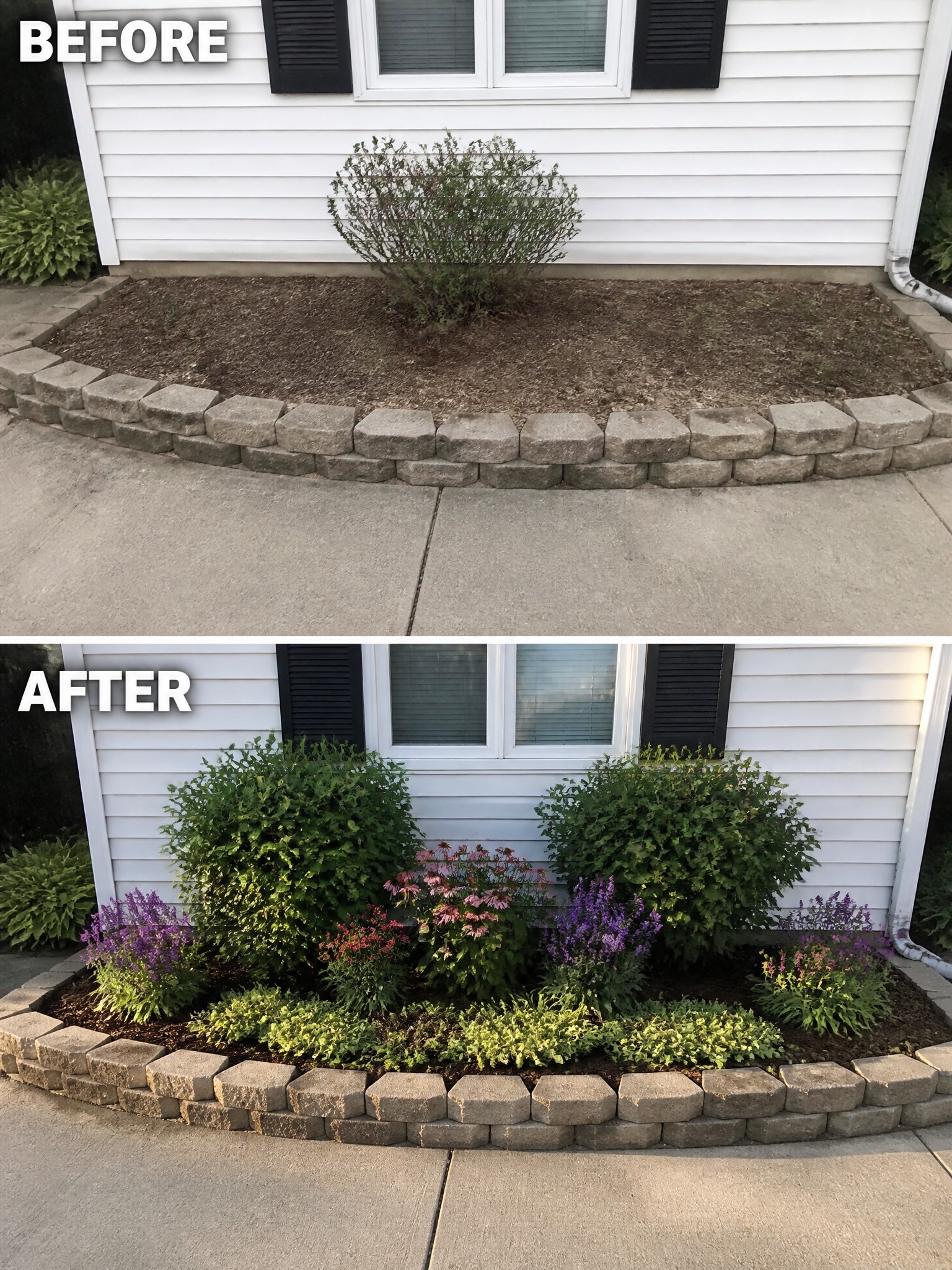 Before-and-after image of a sparse garden bed next to a house, changed from one small shrub to a full layered planting of shrubs, flowers, and ground covers.