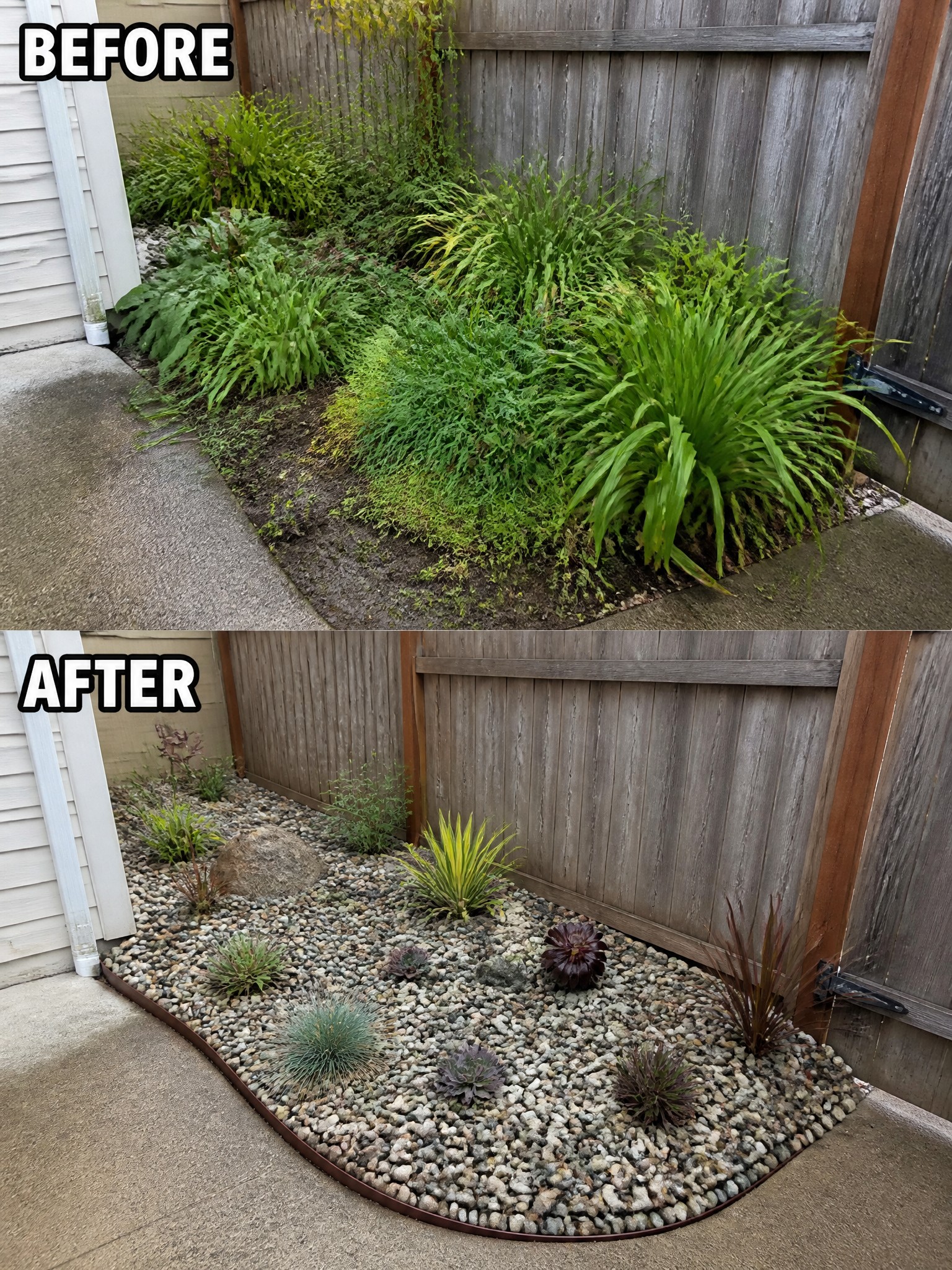 Before and after garden bed transformed from overgrown plants to gravel succulents