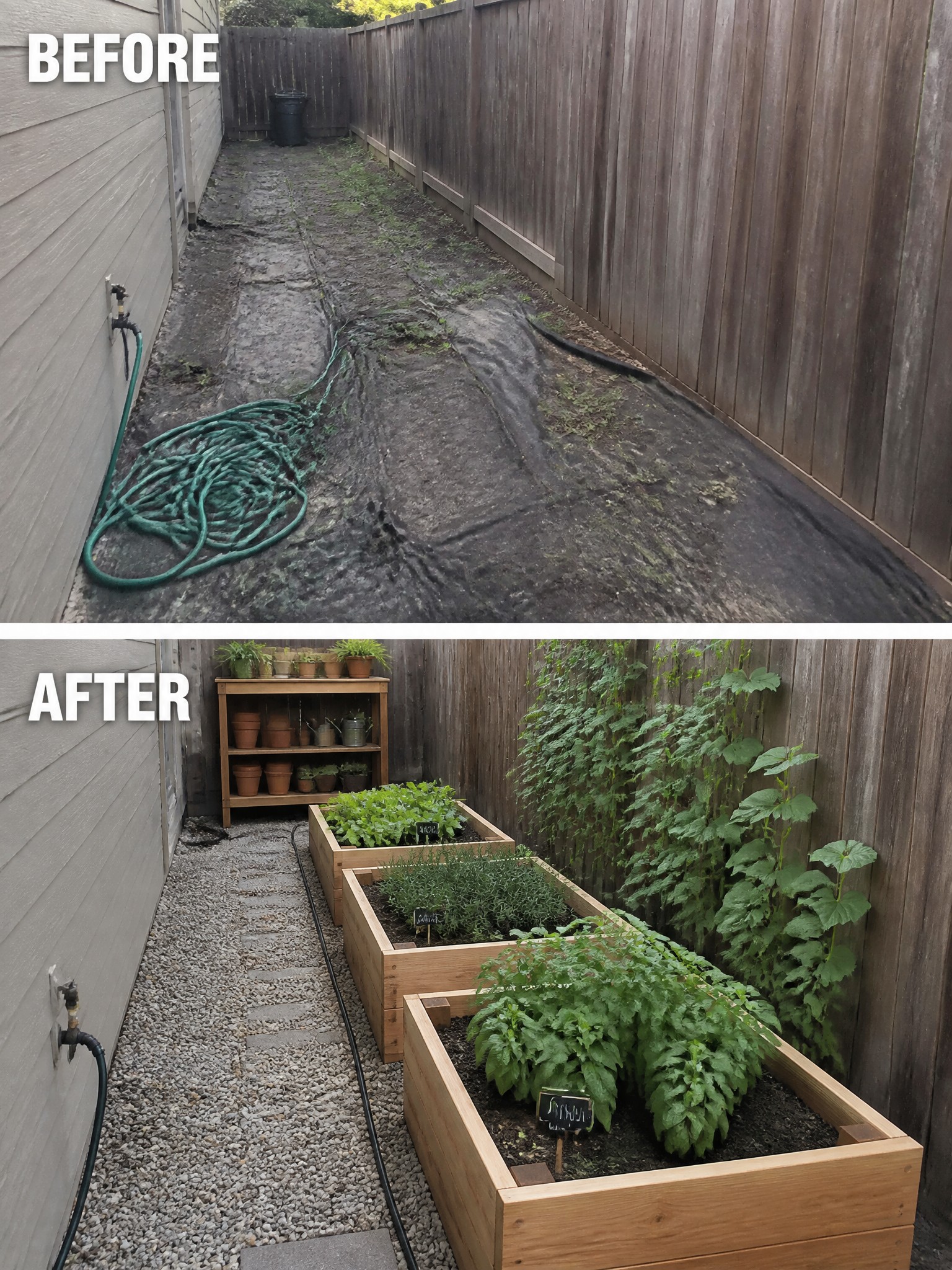 Before and after of narrow yard transformed into raised garden beds with gravel path.