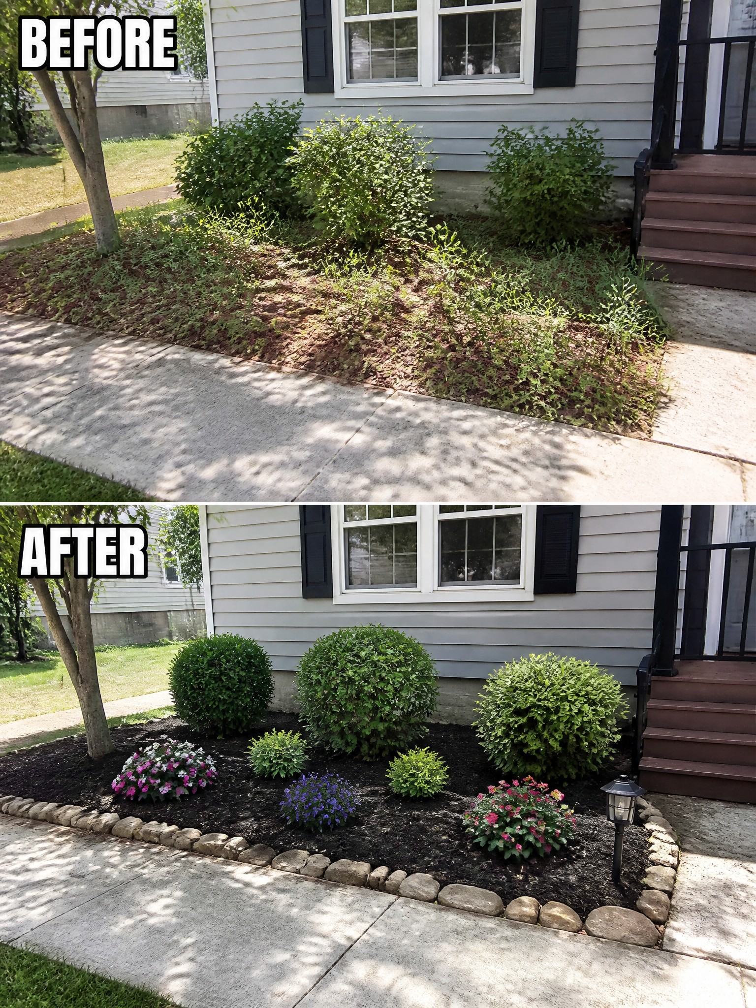Before and after of overgrown garden bed transformed into neat flower bed with shrubs
